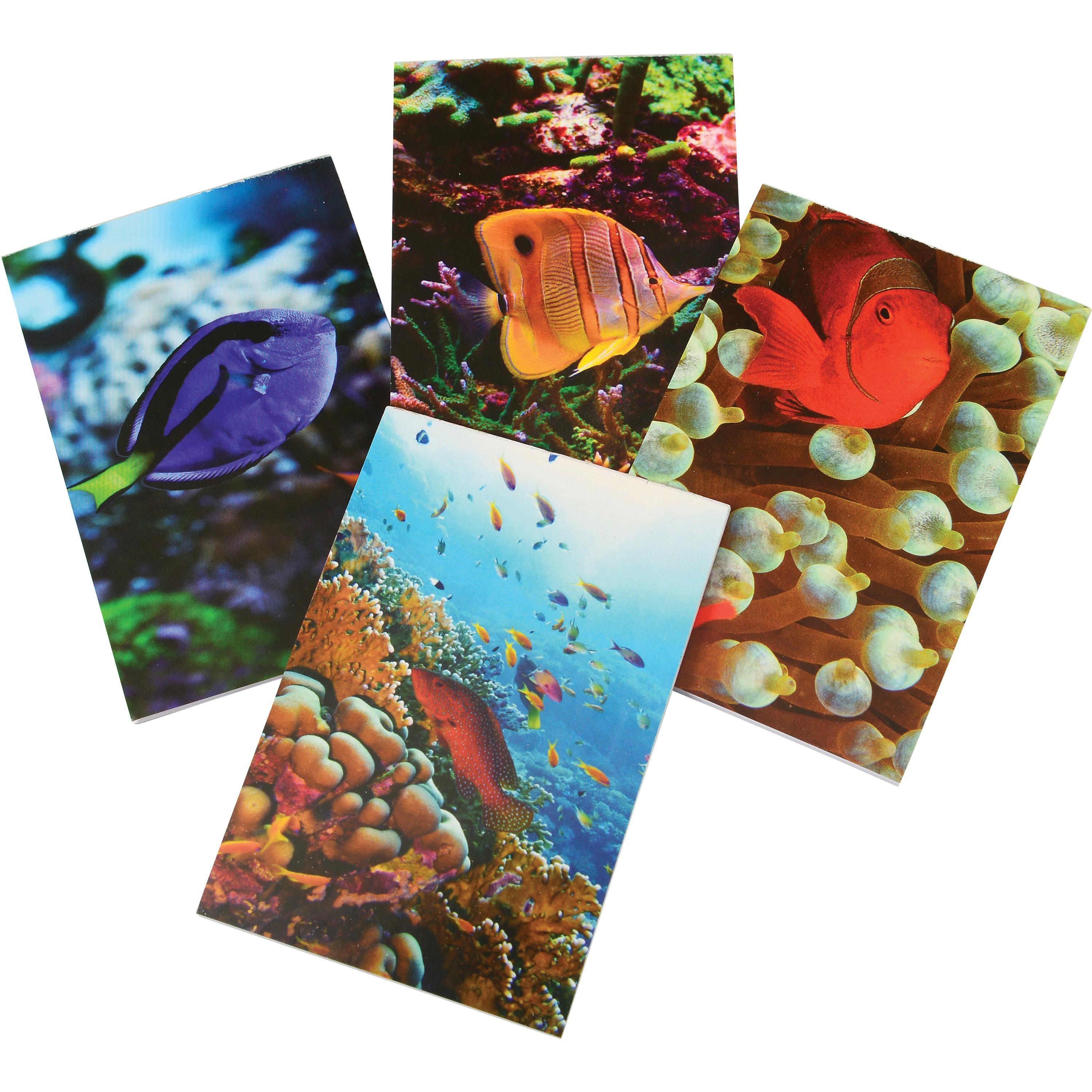 Photo Ocean Reef Memo Pads - Classroom Rewards