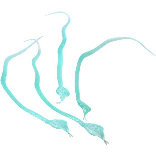 Glow-in-the-Dark STEM Discovery Tool - Set of 12