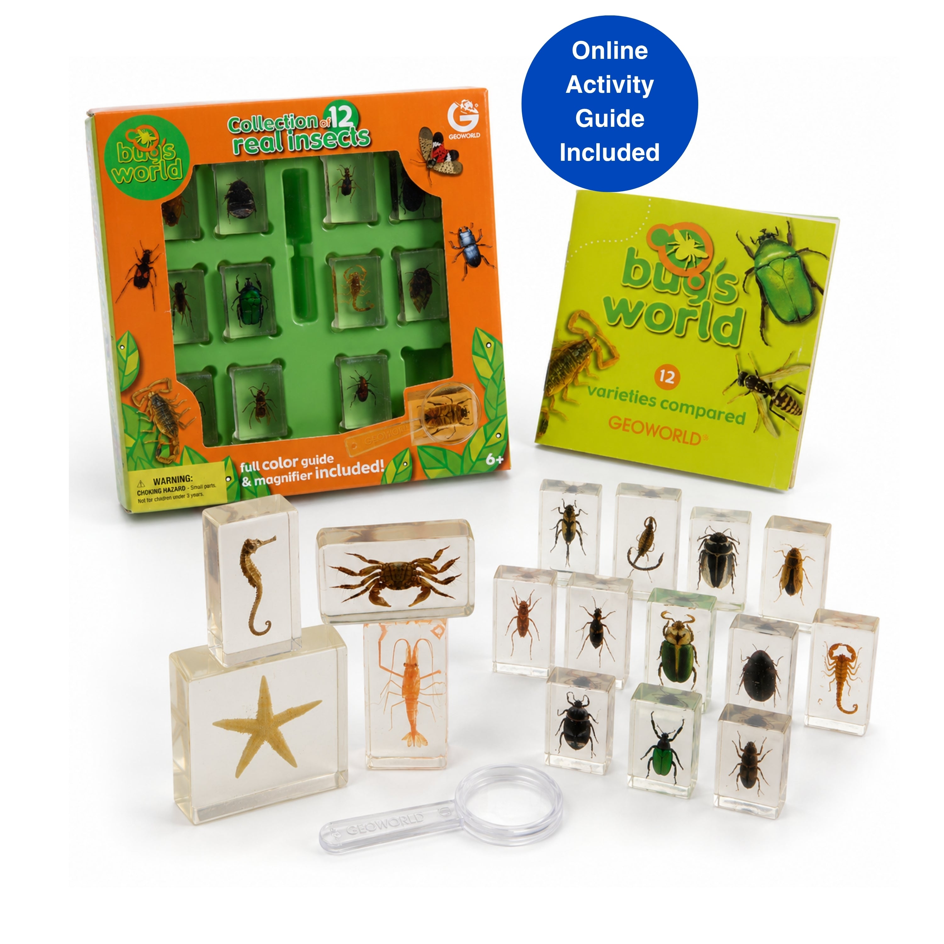 Nature Discovery Specimen Collection