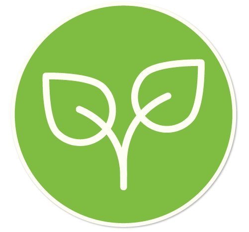 Eco-Friendly Eco-Friendly