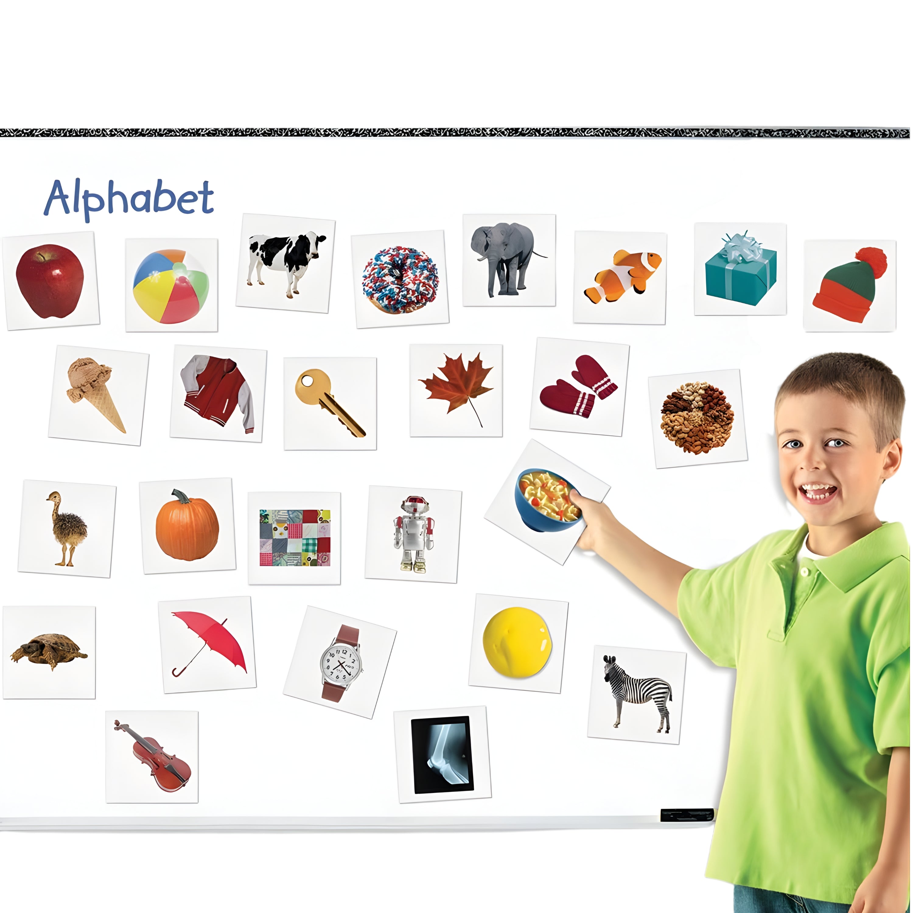 Double-Sided Photo Magnetic Alphabet Cards | 26 Real Image & Letter Magnets