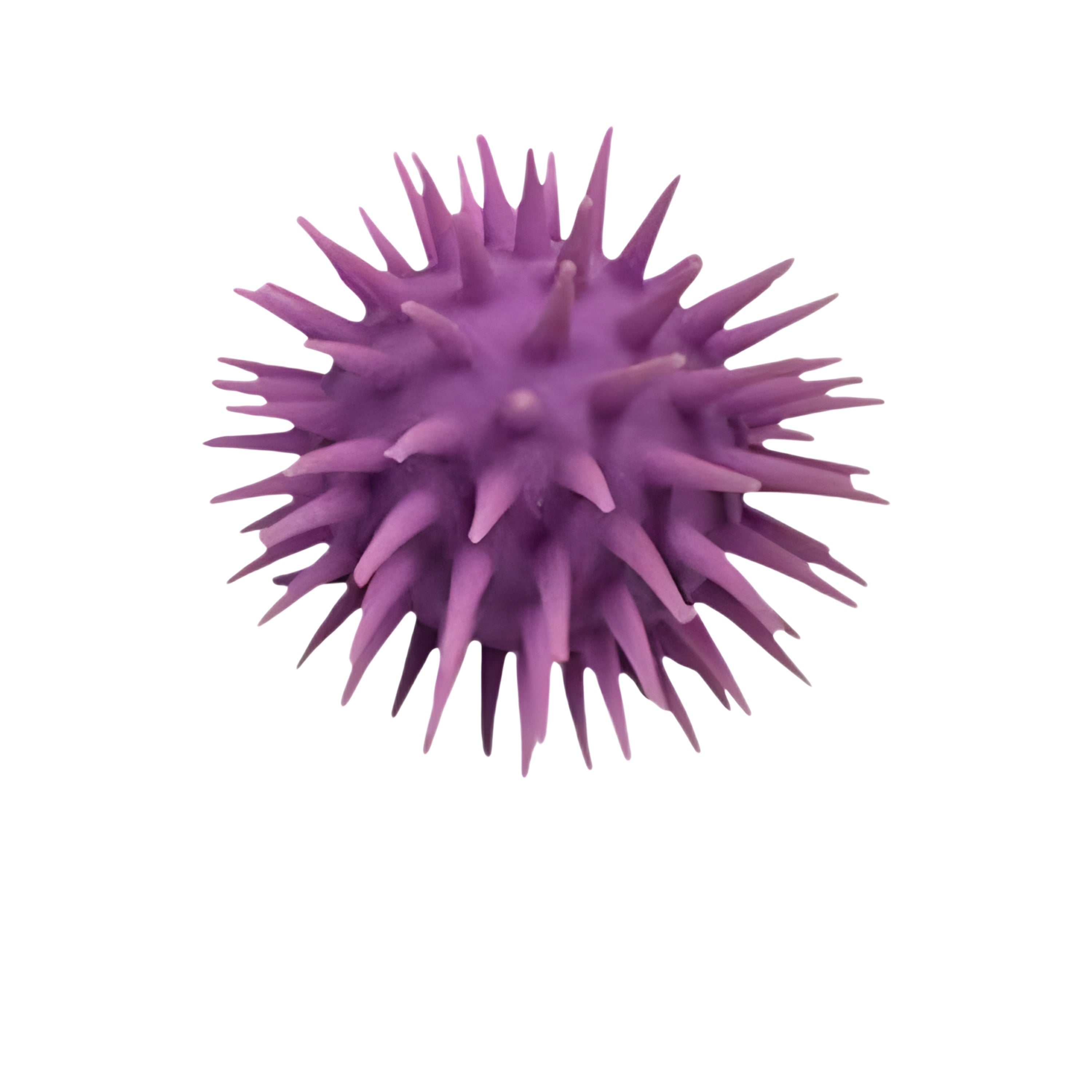 Inside-Out Sensory Fidget Ball