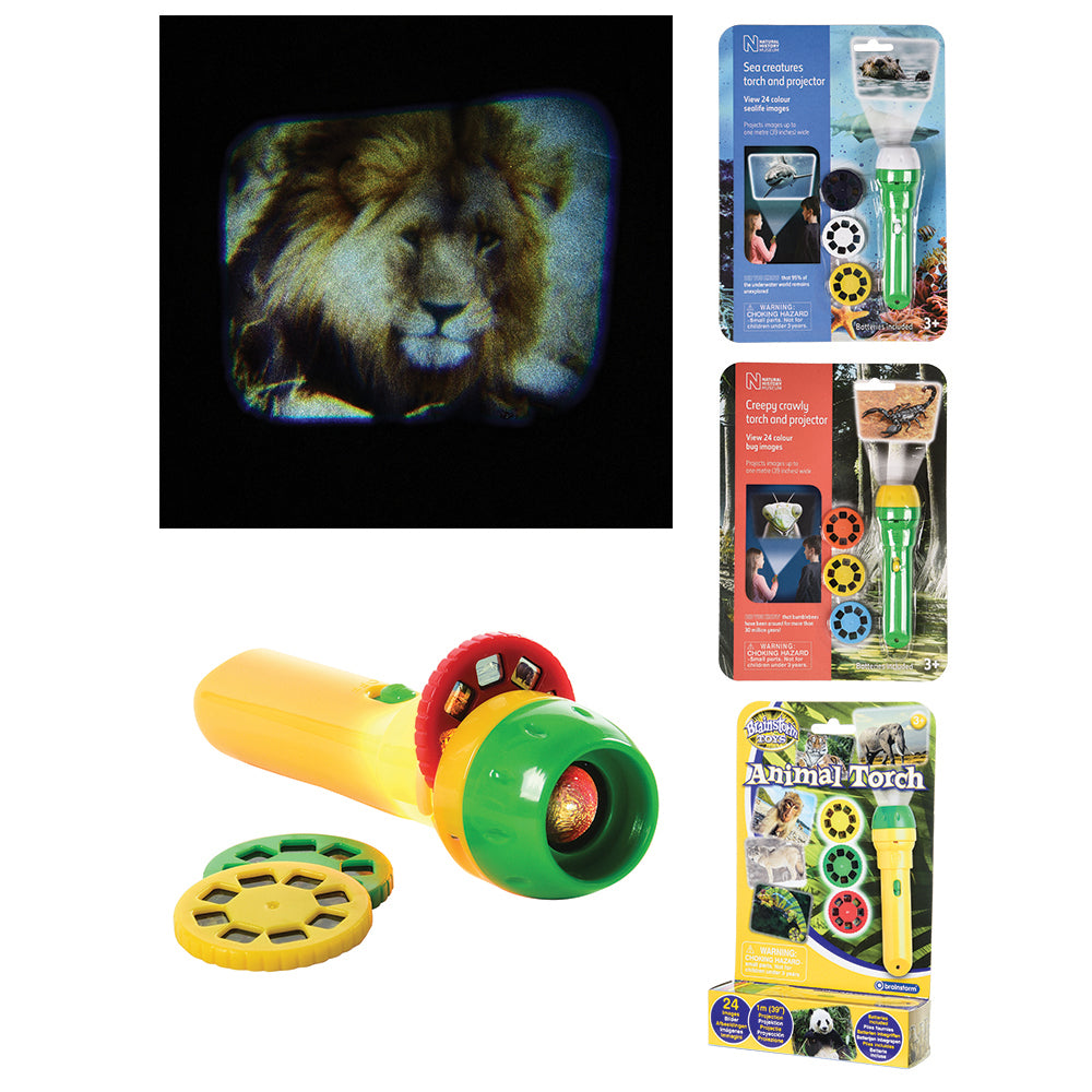 Discovery Projectors / Series 1