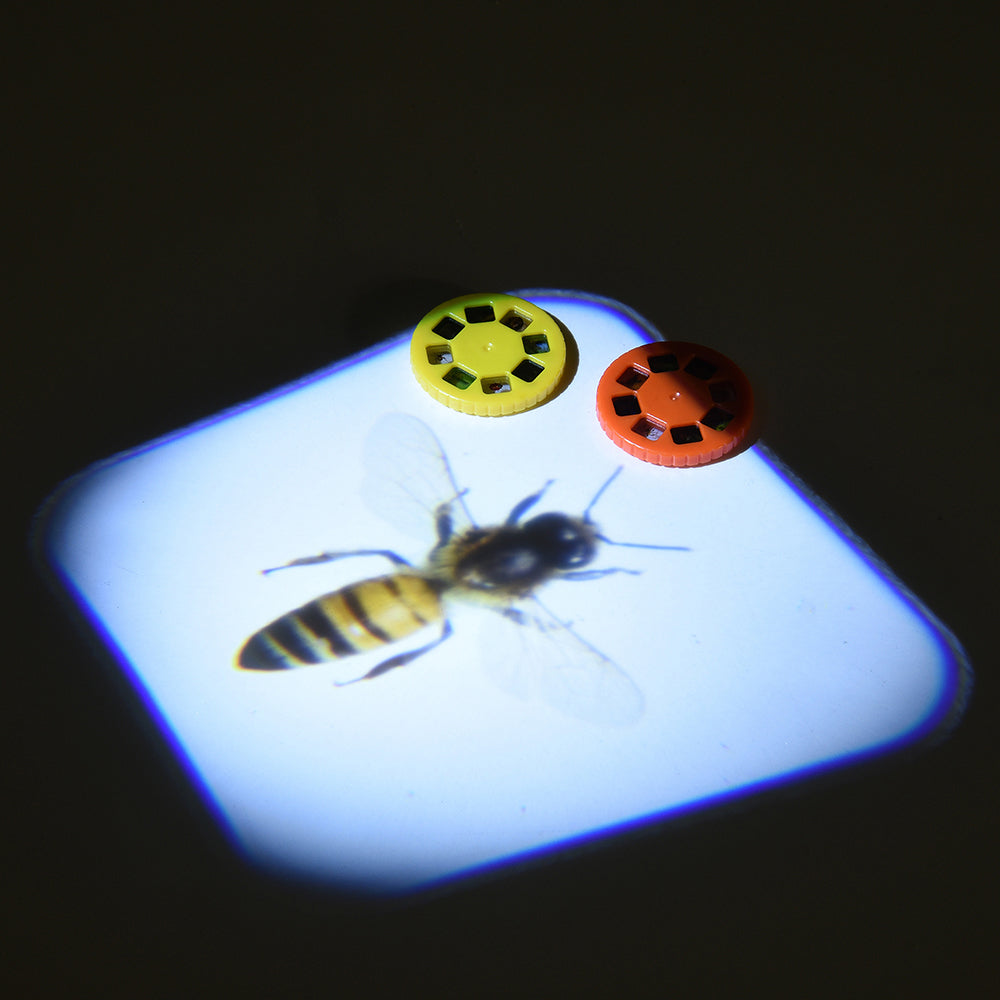 Discovery Projectors / Series 1