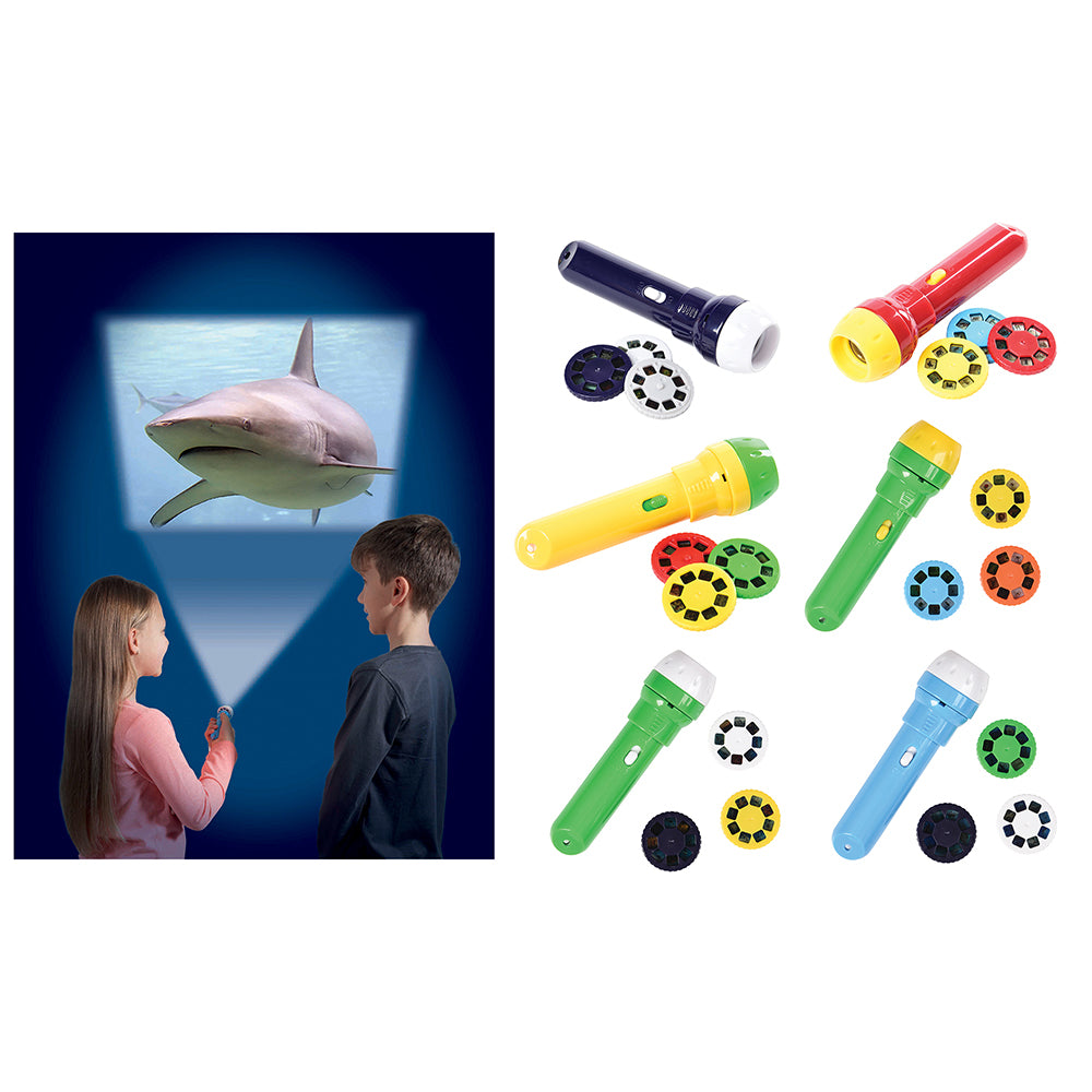 Discovery Projectors