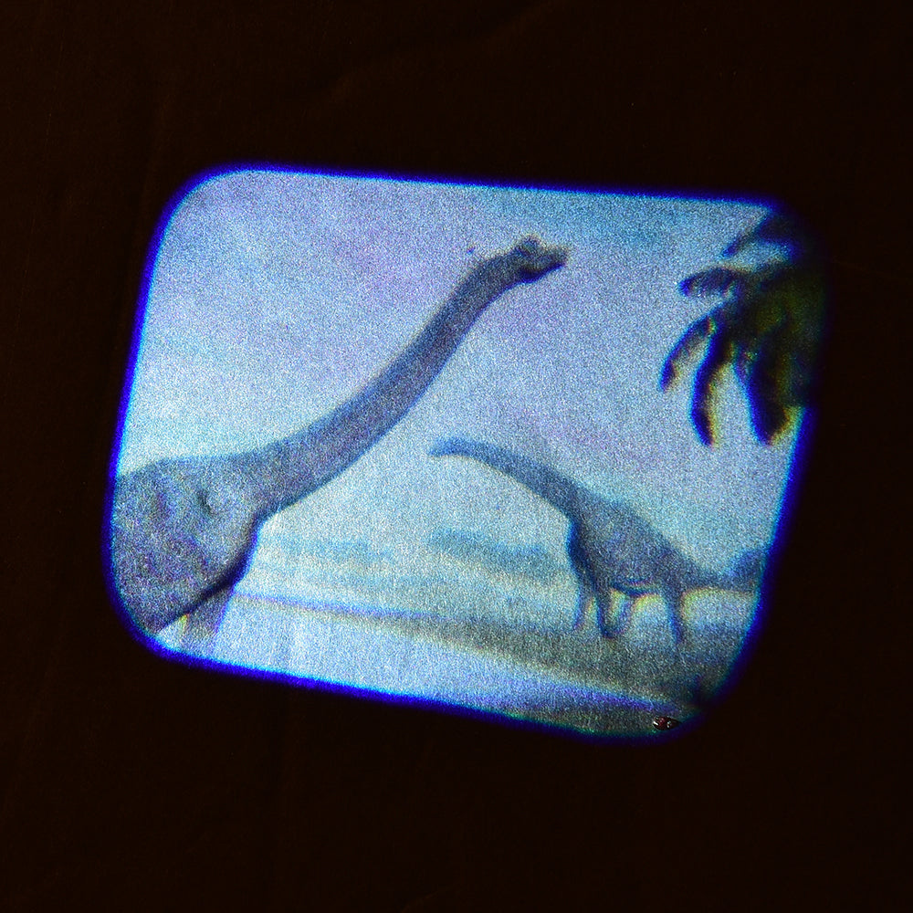 Discovery Projectors
