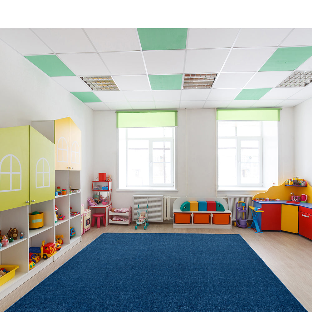 Blueberry 4' x 6' Rectangle Classroom Rug in the Classroom