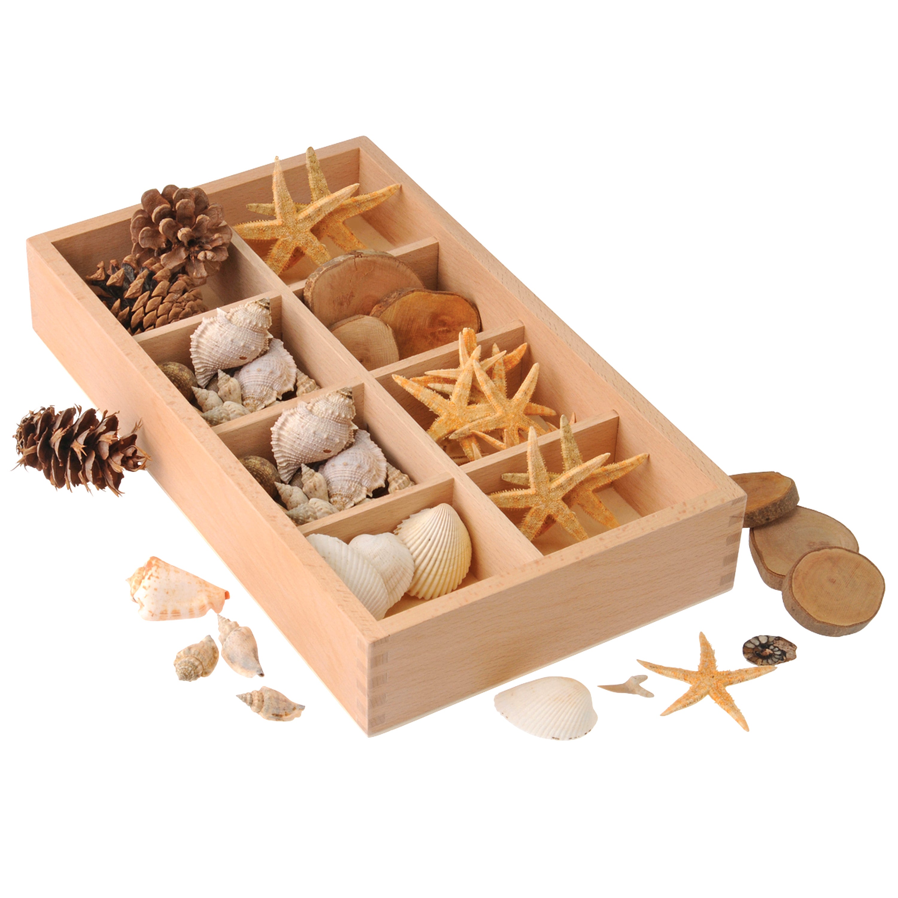 Includes Star Fish, Seashells, Pine Cones, and Tree Rings to sort and classify in the included Wood Sorting Box.