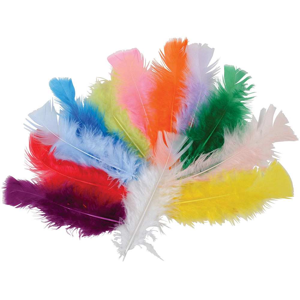 Craft Feathers