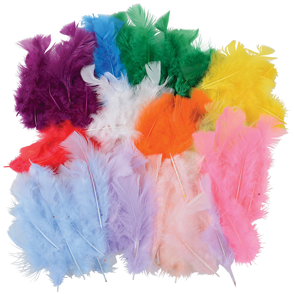 Craft Feathers