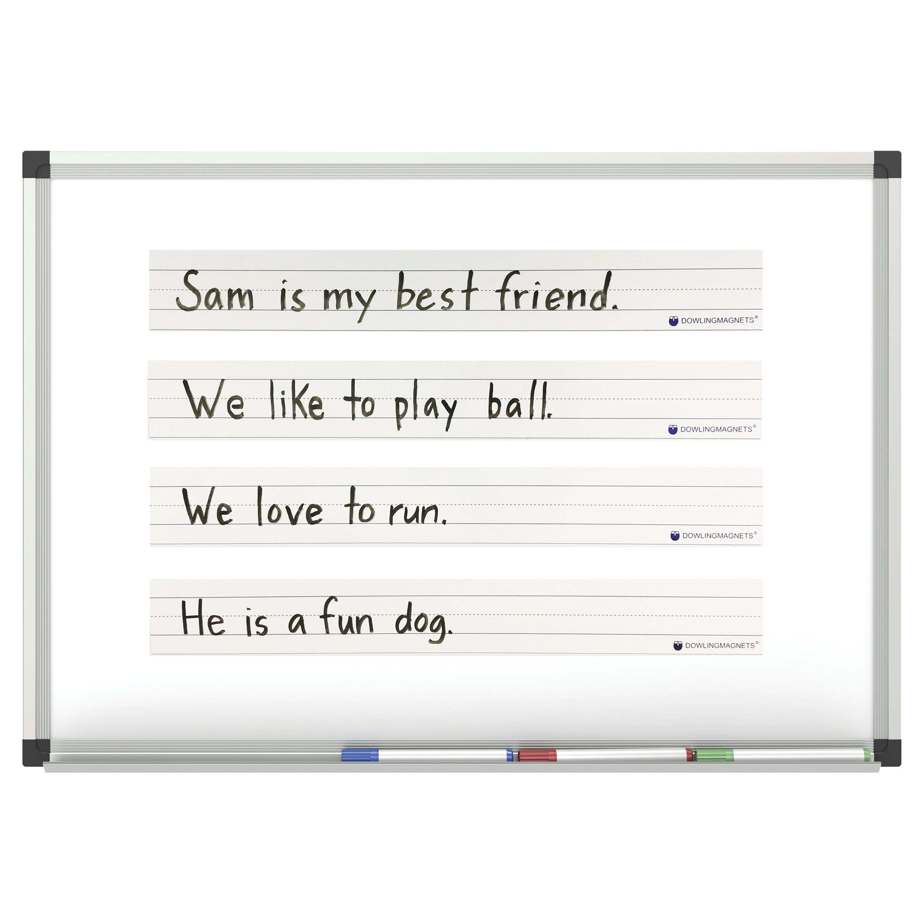 Large Magnetic Sentence Strips