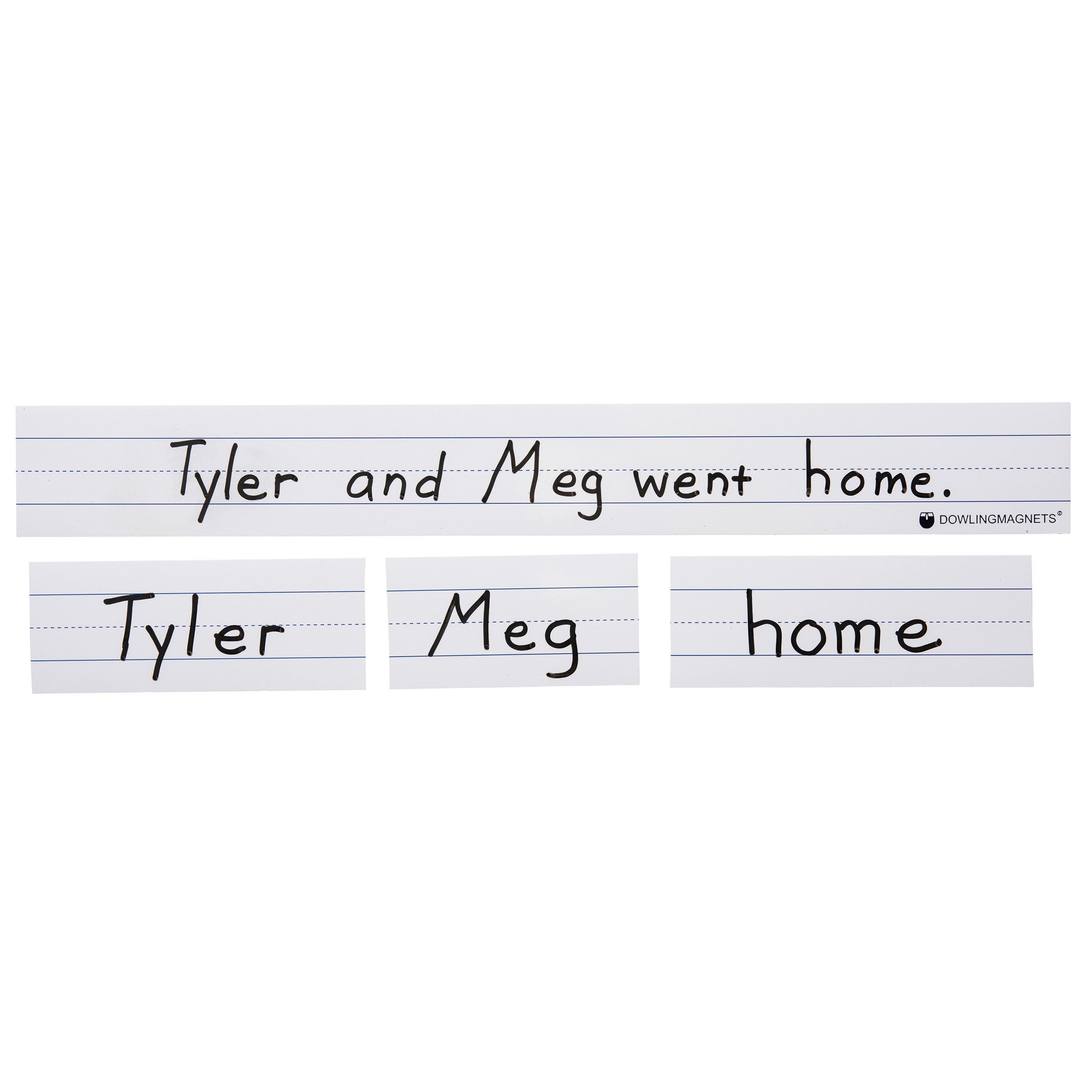 Large Magnetic Sentence Strips