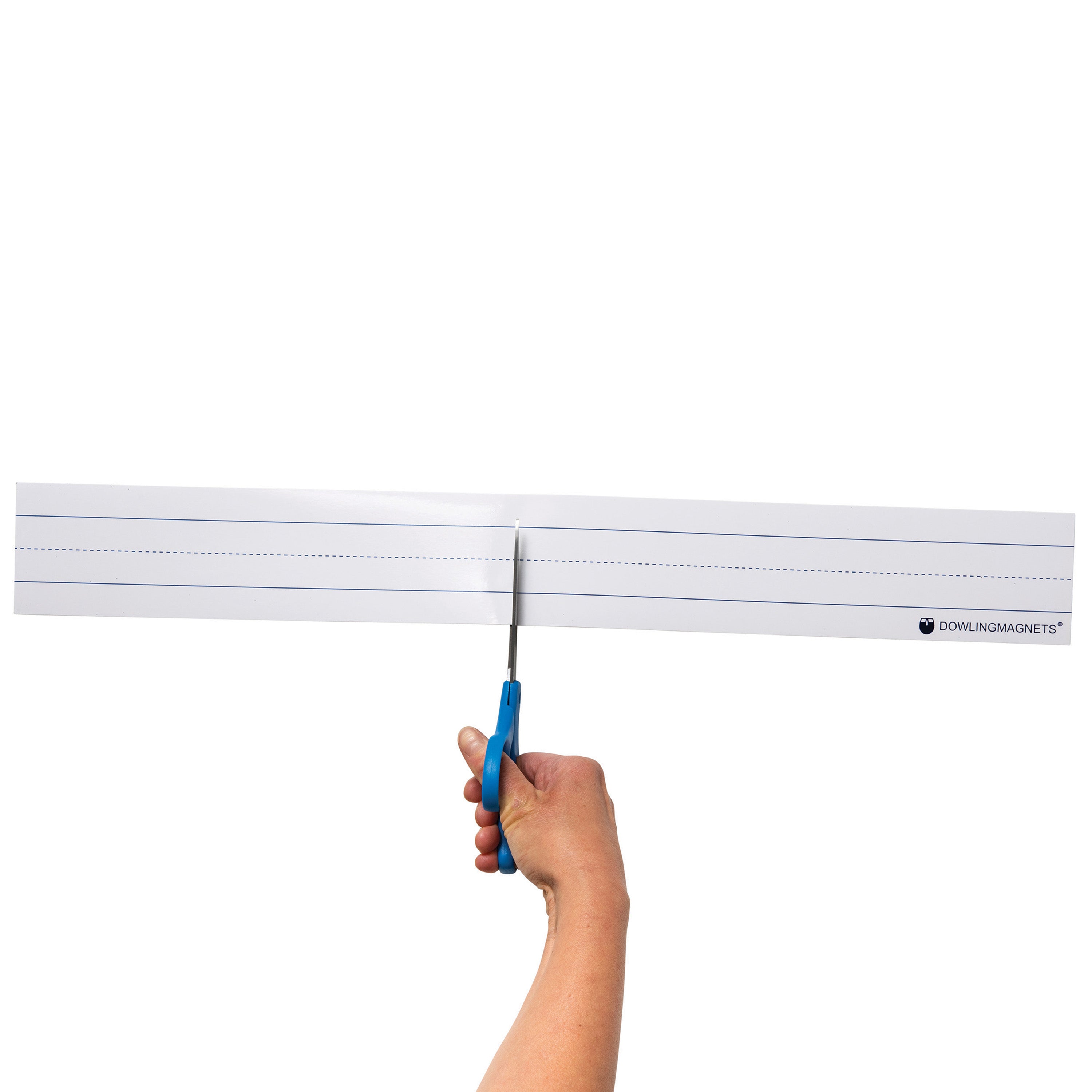 Large Magnetic Sentence Strips