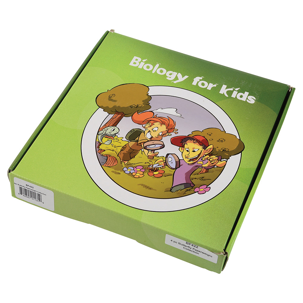 Packaging of Educational Encased Butterfly Set | 4-Piece Collection with Identification Cards
