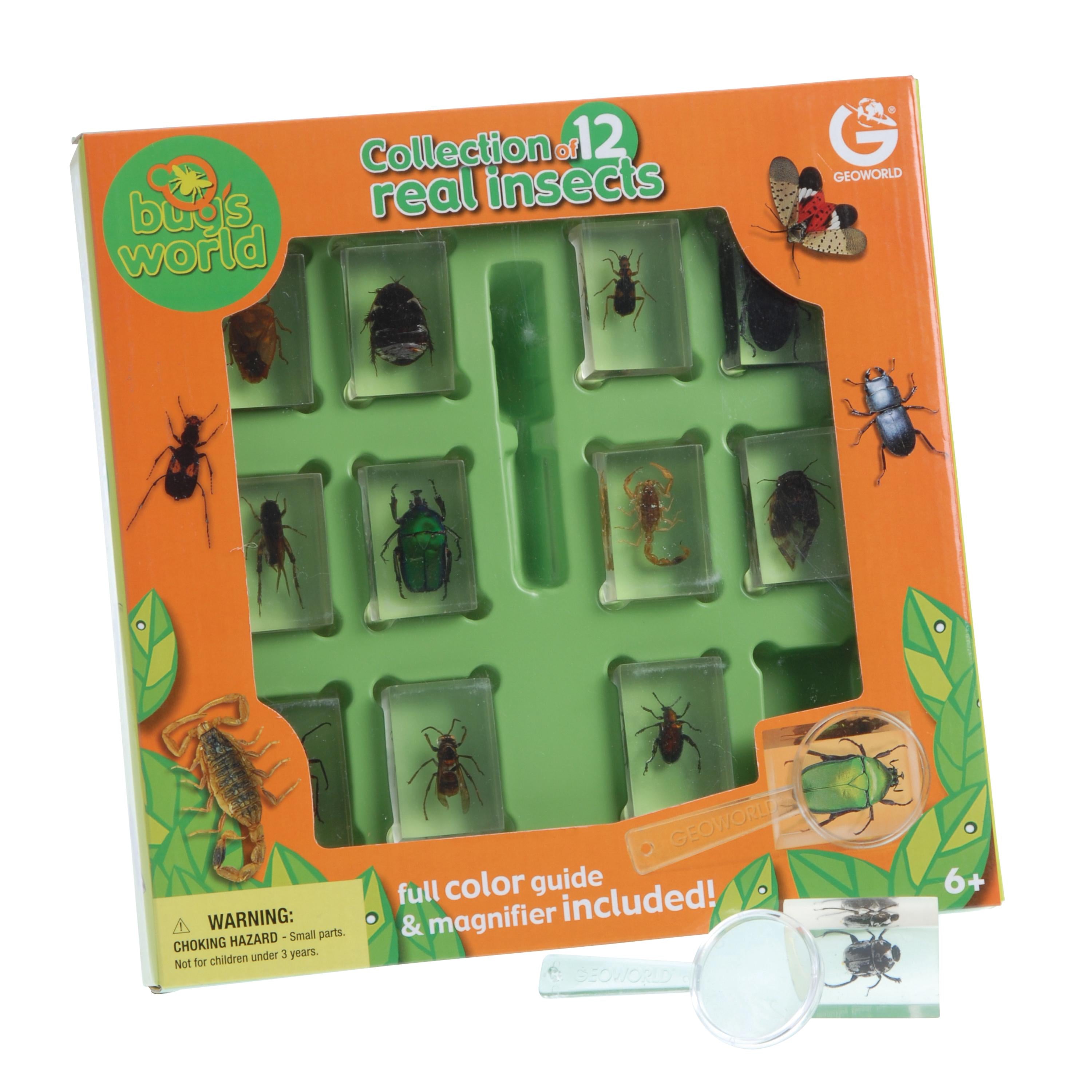 Bugs World 'Collection of 12 real insects' educational toy kit in its orange and green retail box, with a magnifying glass and specimen holder placed in front on a white background.