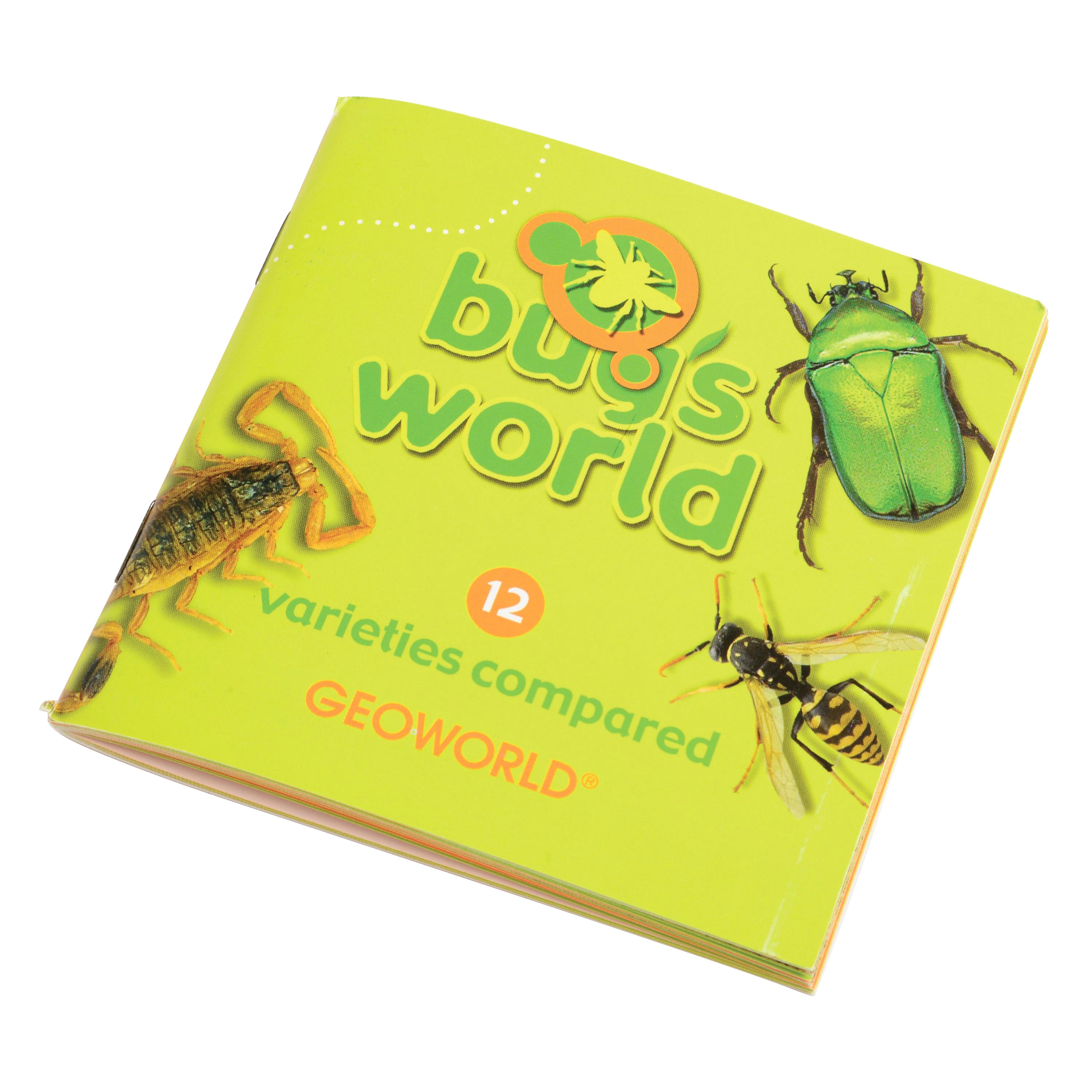 Bugs World Collection | 12 Encased Real Insects with Magnifying Glass