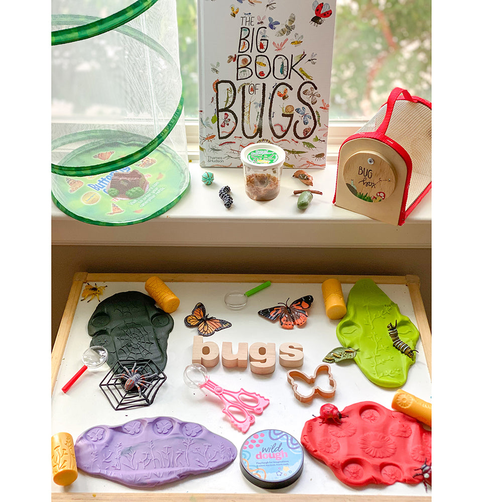 Incorporating Bugs & Insects in the Classroom
