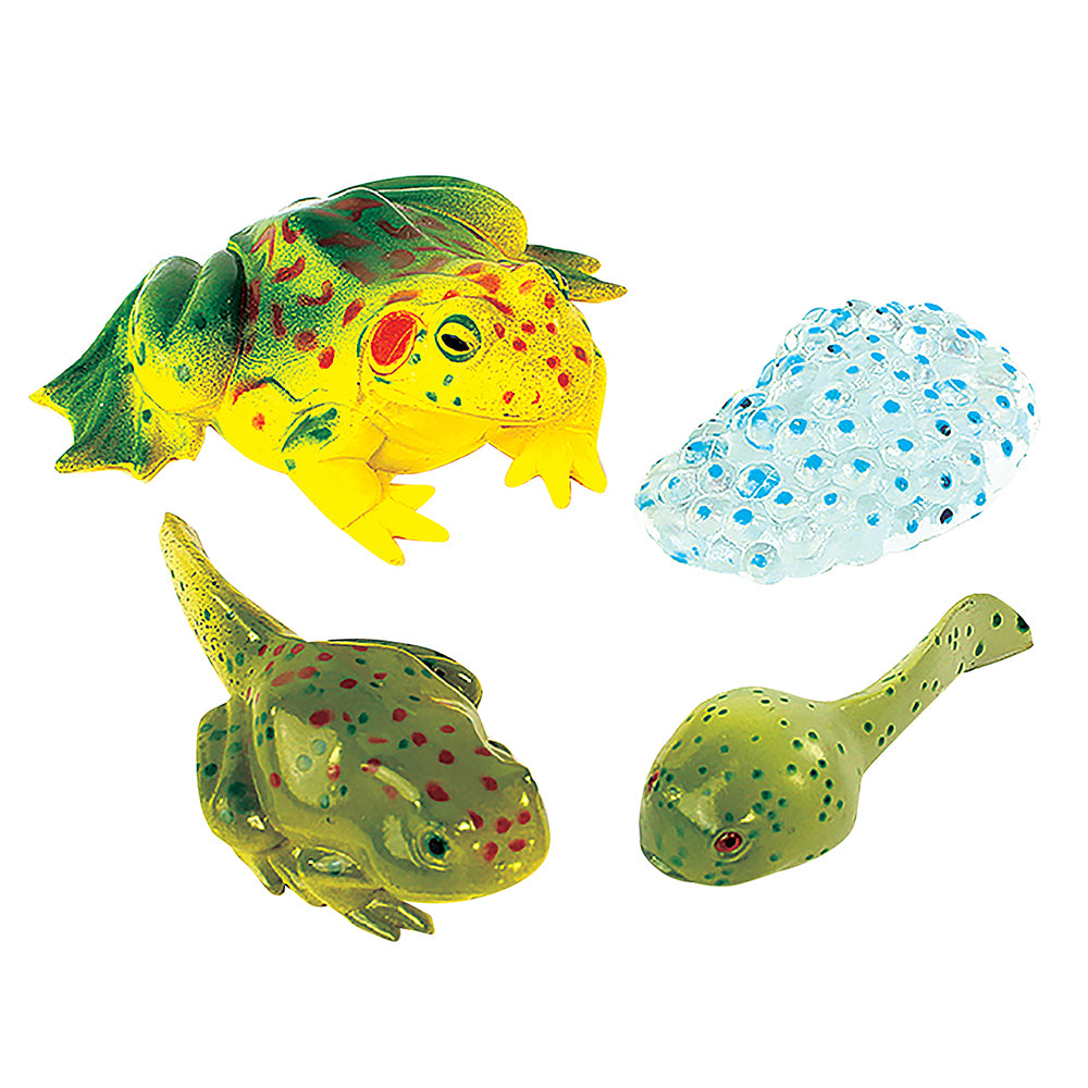 Frog Life Cycle Figurines | 4-Piece Educational Set