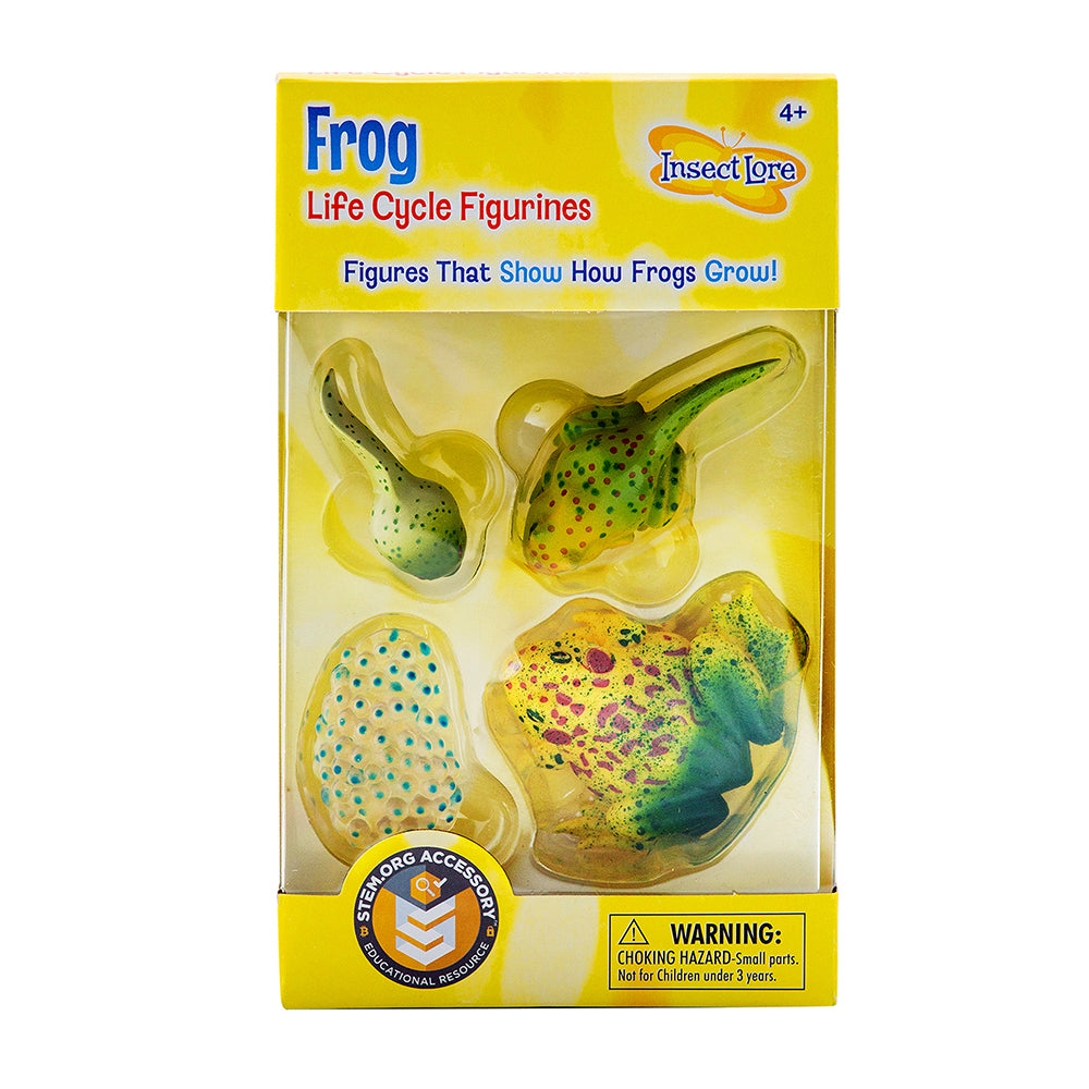 Frog Life Cycle Figurines | 4-Piece Educational Set in Original Packaging