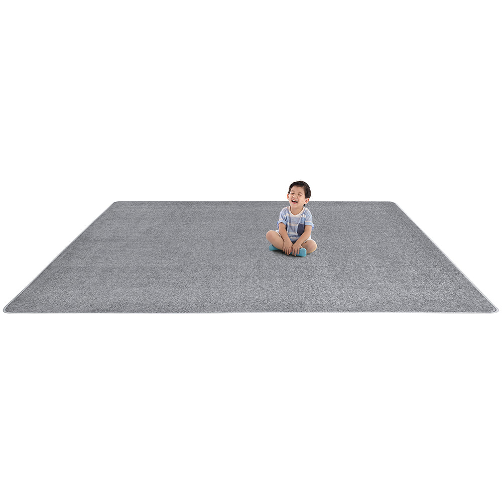 Kid Friendly Rectangular Silver Area Rug