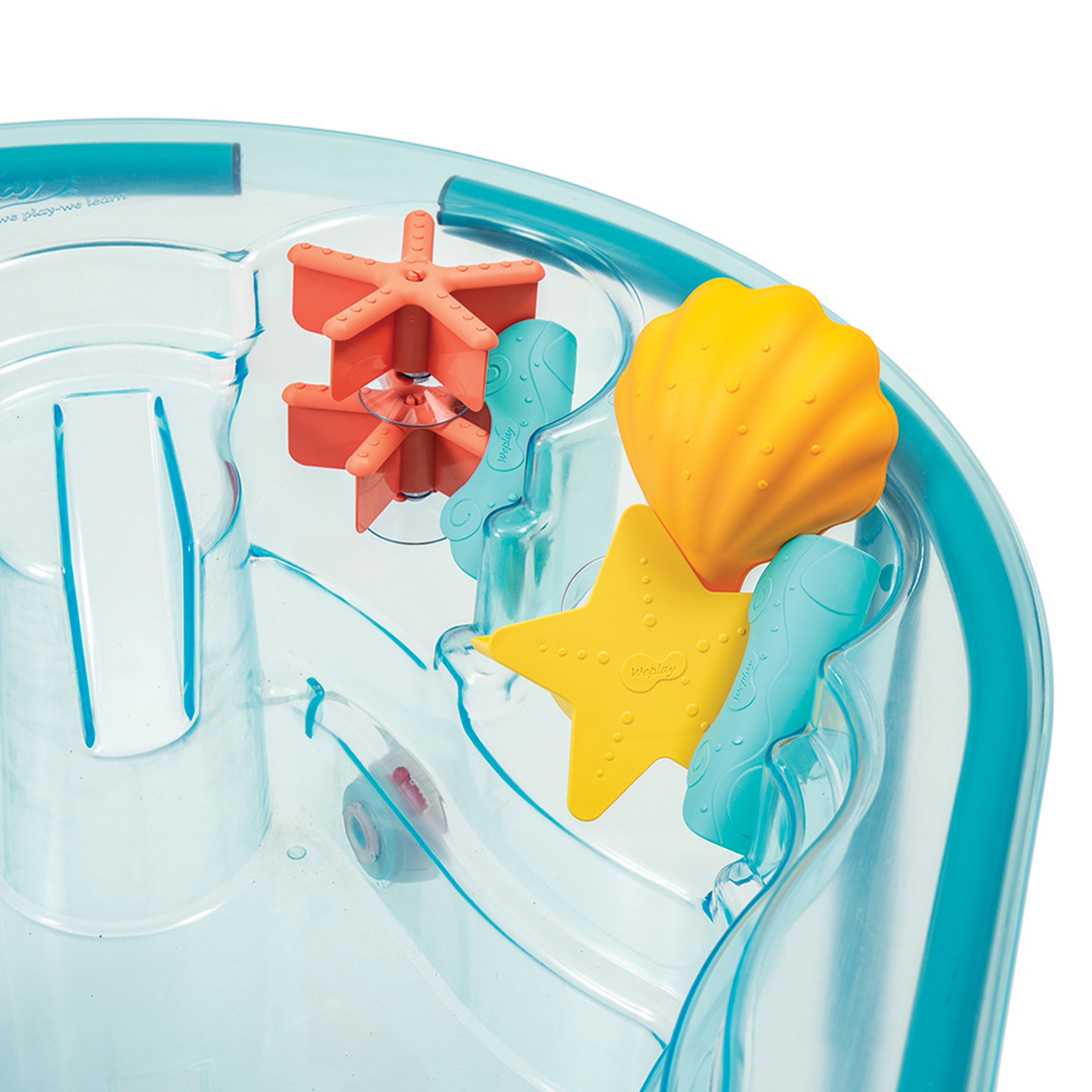 Clear plastic toy with colorful starfish and shell-shaped molds on a white background