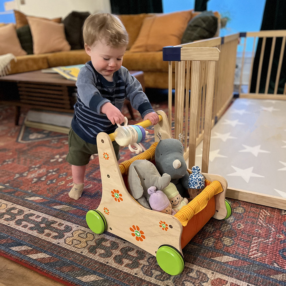 Toddler Interacting with Beginner's Buggy