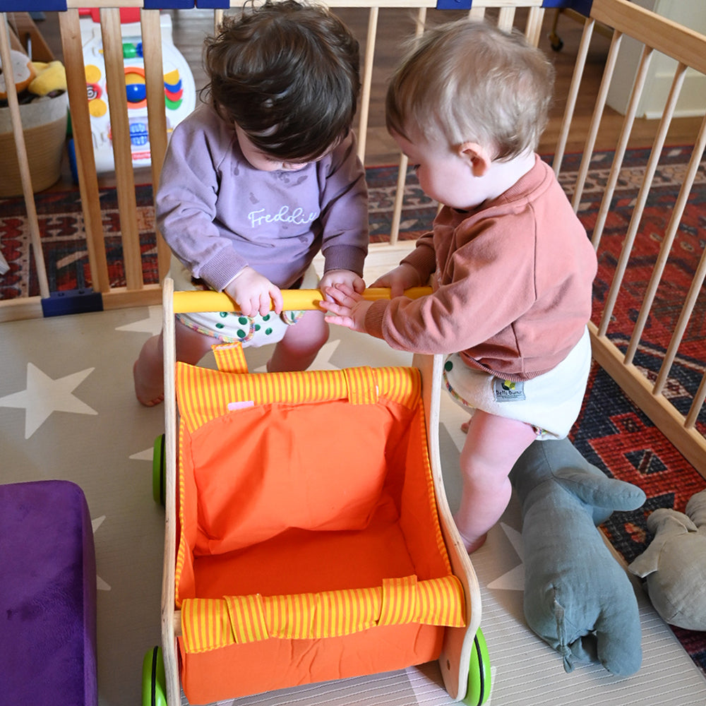 Babies Interacting with Beginner's Buggy