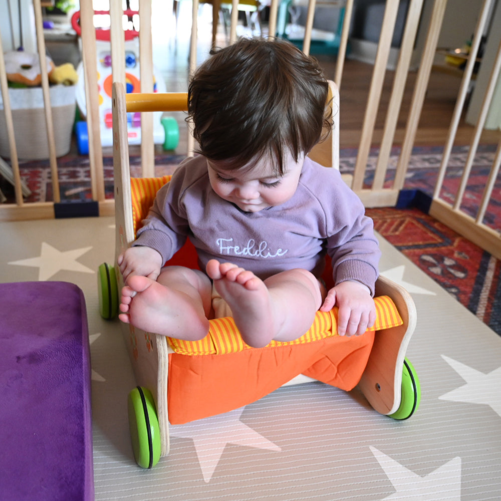 Baby Sitting in Beginner's Buggy