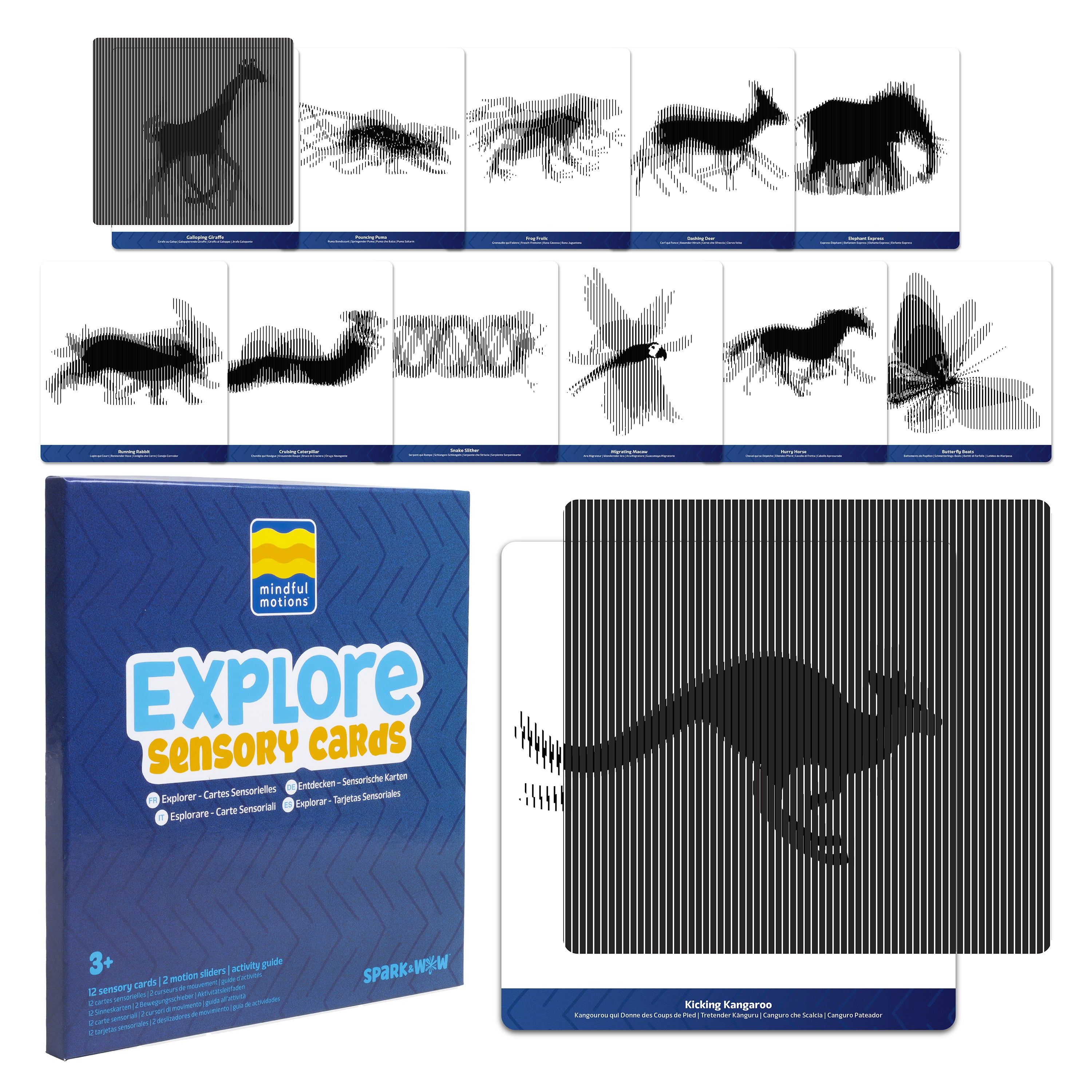Explore Sensory Cards packaging with kangaroo silhouette on a white background