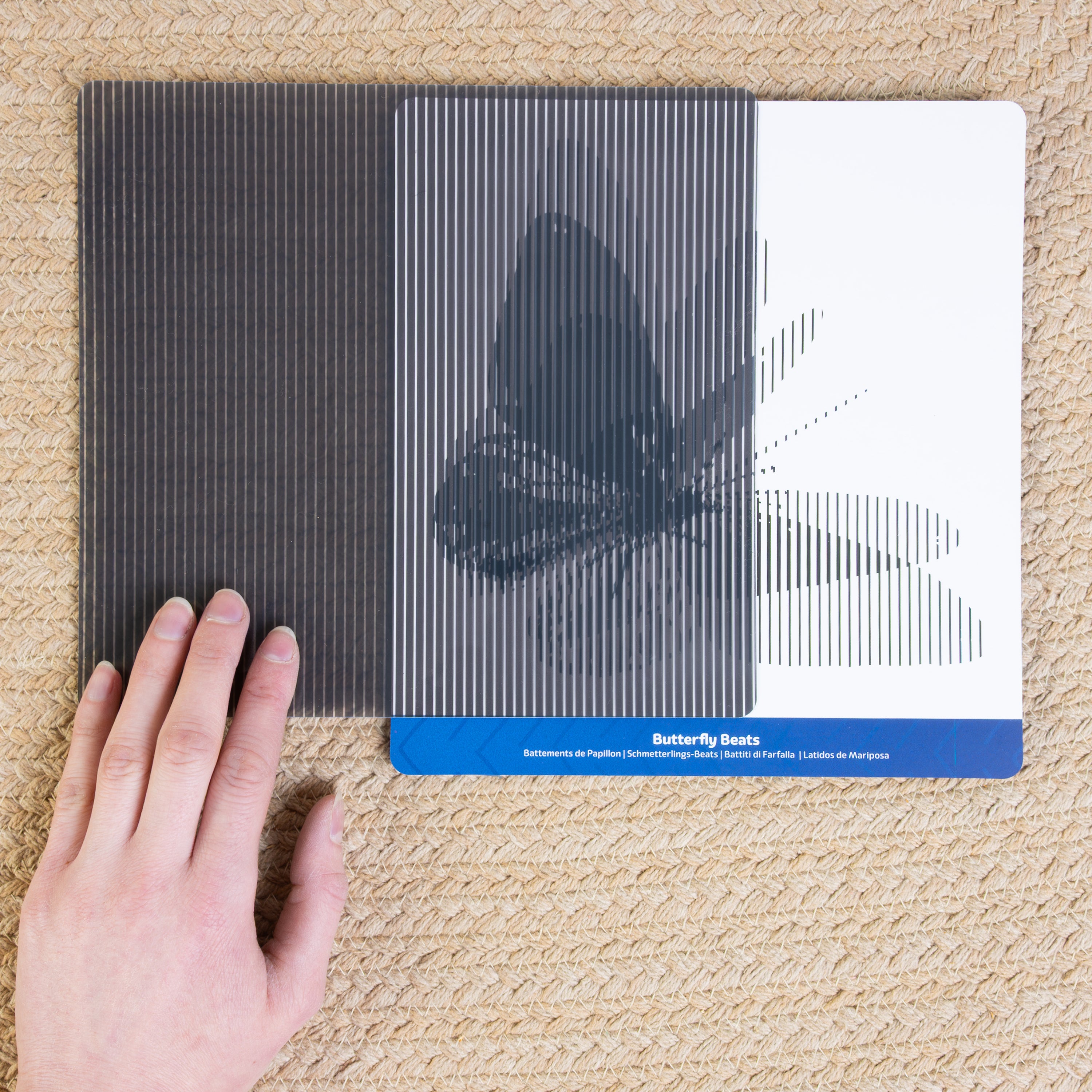 Butterfly in motion card on beige rug
