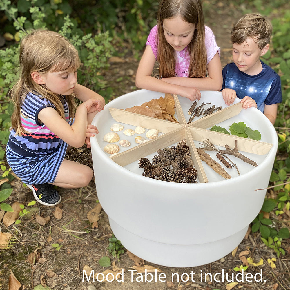 Using Wooden Sorting Dividers on Sensory Light Table