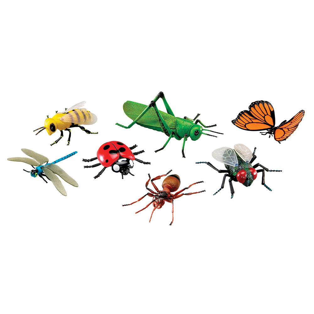 Assorted toy insects on a white background