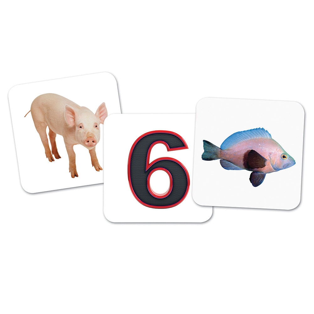 Vowel Owls™ Sorting Set