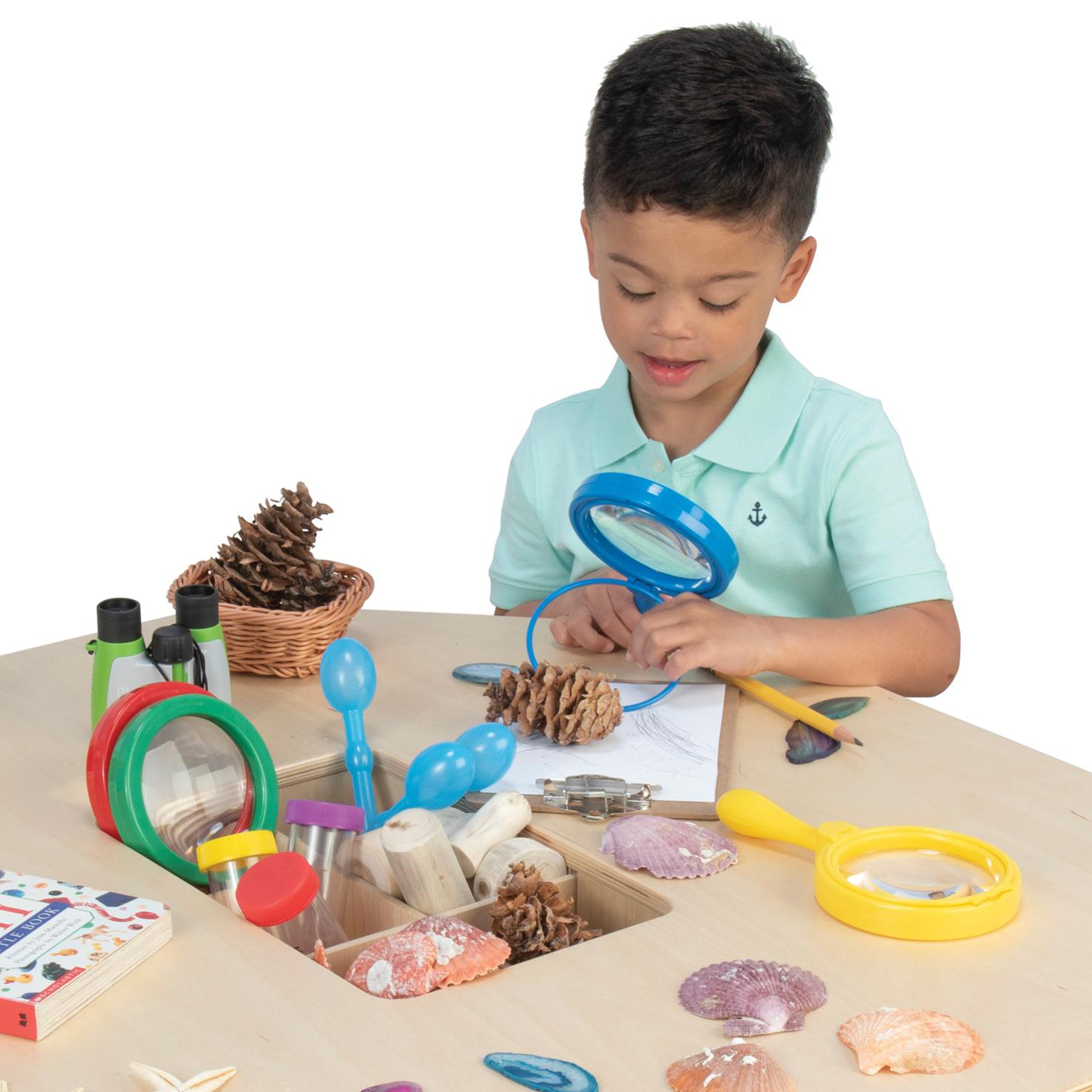 E-Z View Magnifiers with Stand – Set of 6 Rainbow Handheld or Hands-Free Magnifying Glasses, 4.5x Magnification, Special Needs & STEM Learning