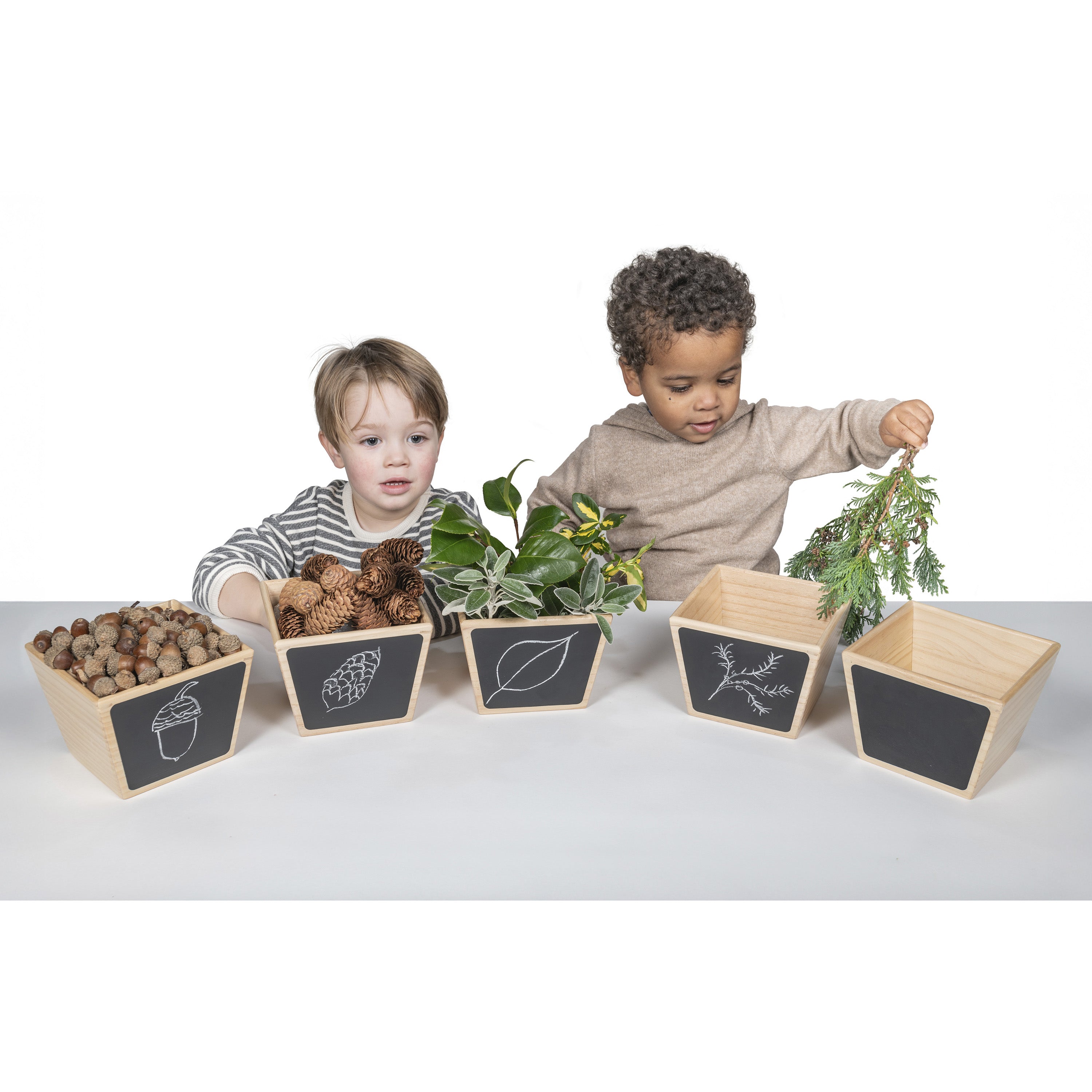 Two children interacting with educational wooden boxes containing plants and nature items on a white background