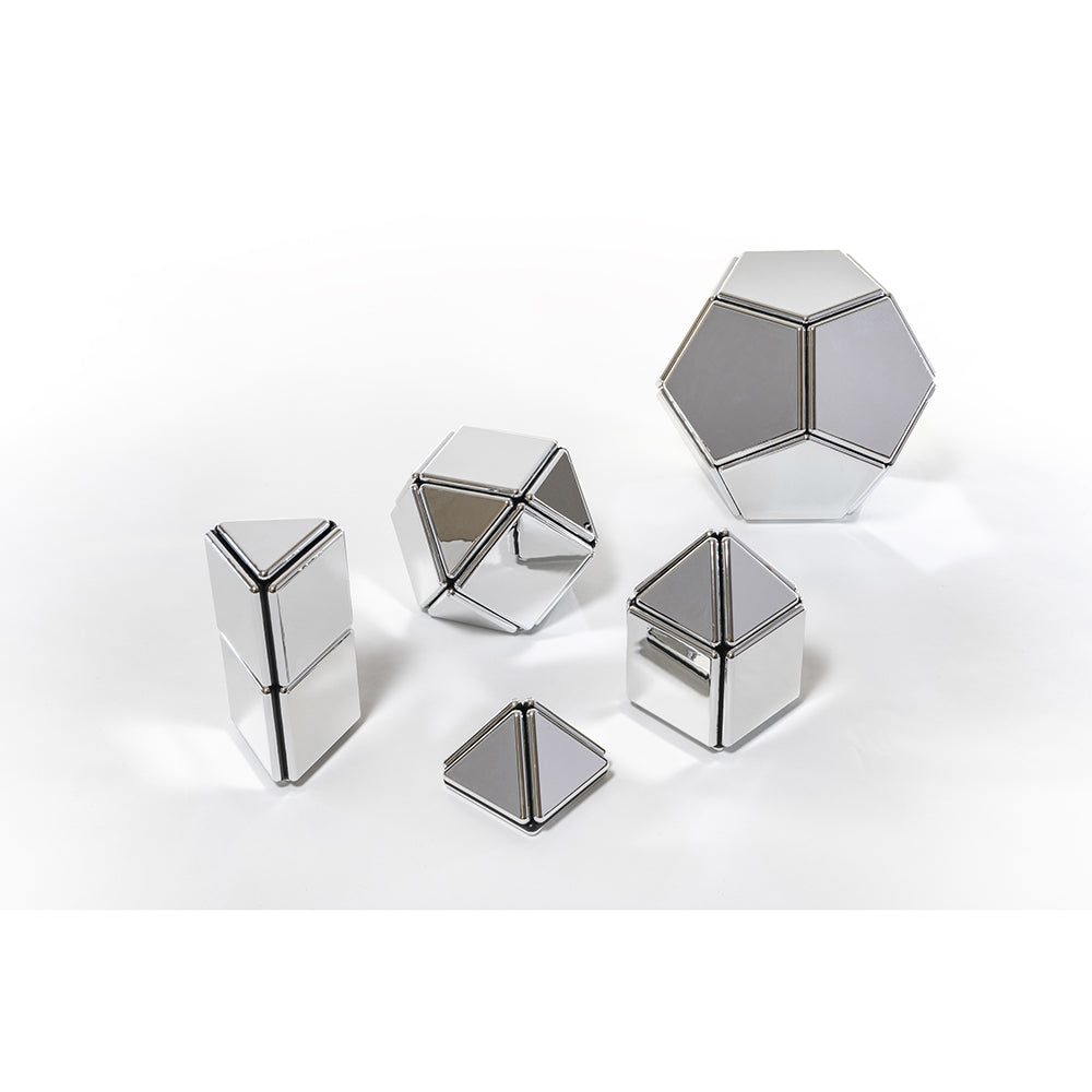 Mirrored Magnetic Polydron