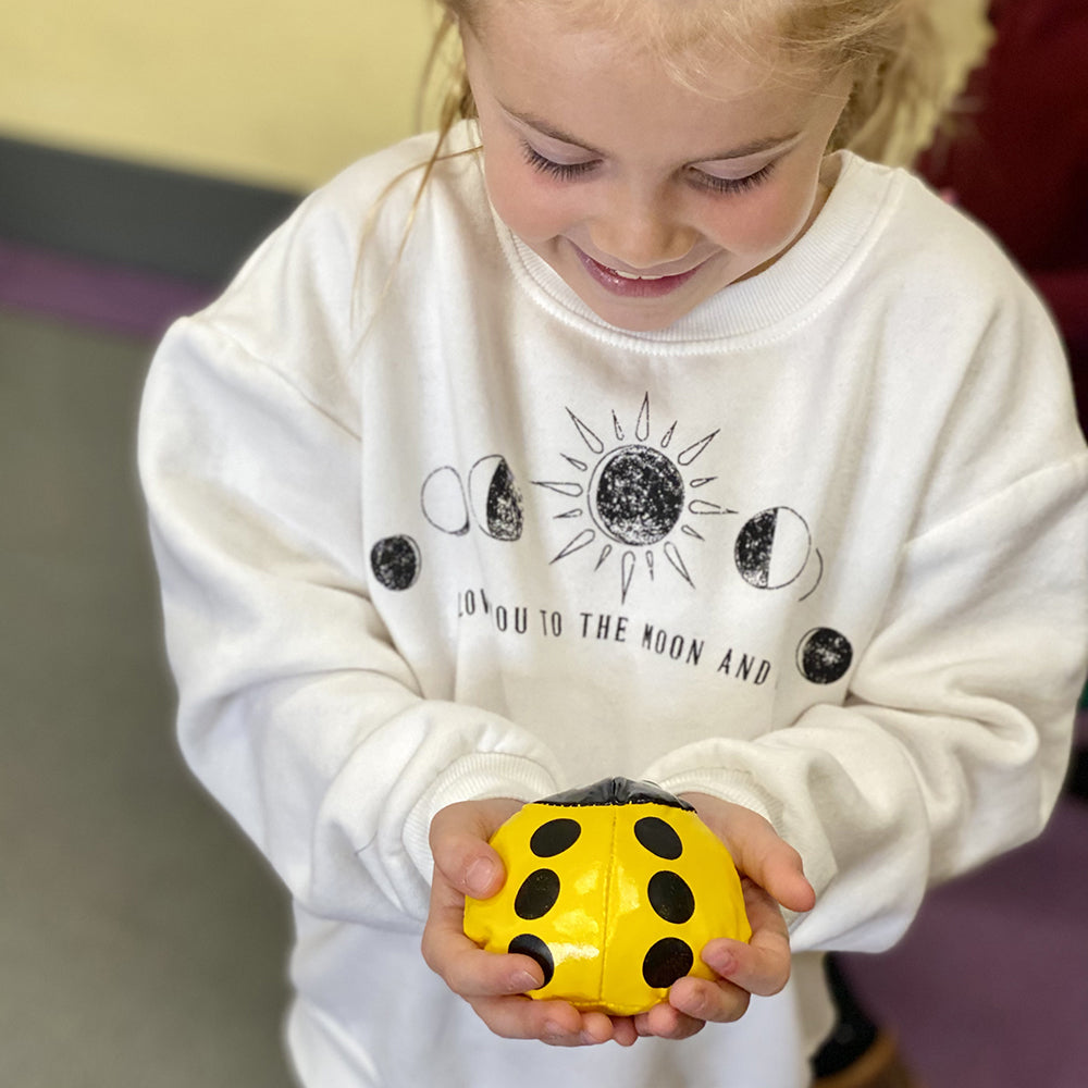 Ladybug Beanbags