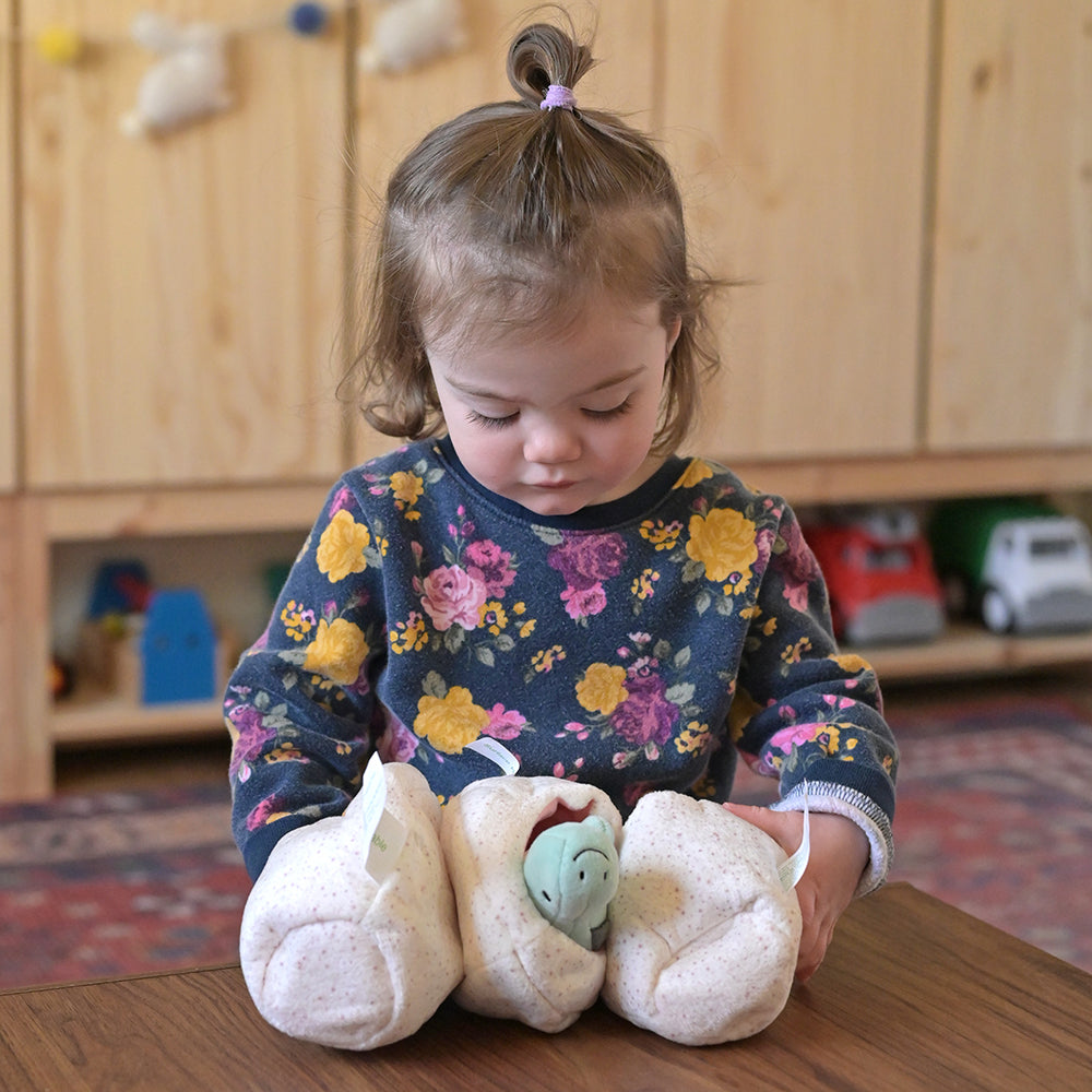 Toddler with Baby Dino in Plush Eggs