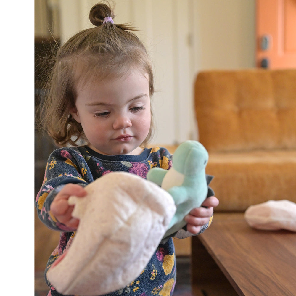 Toddler With Plush Stegosaurus