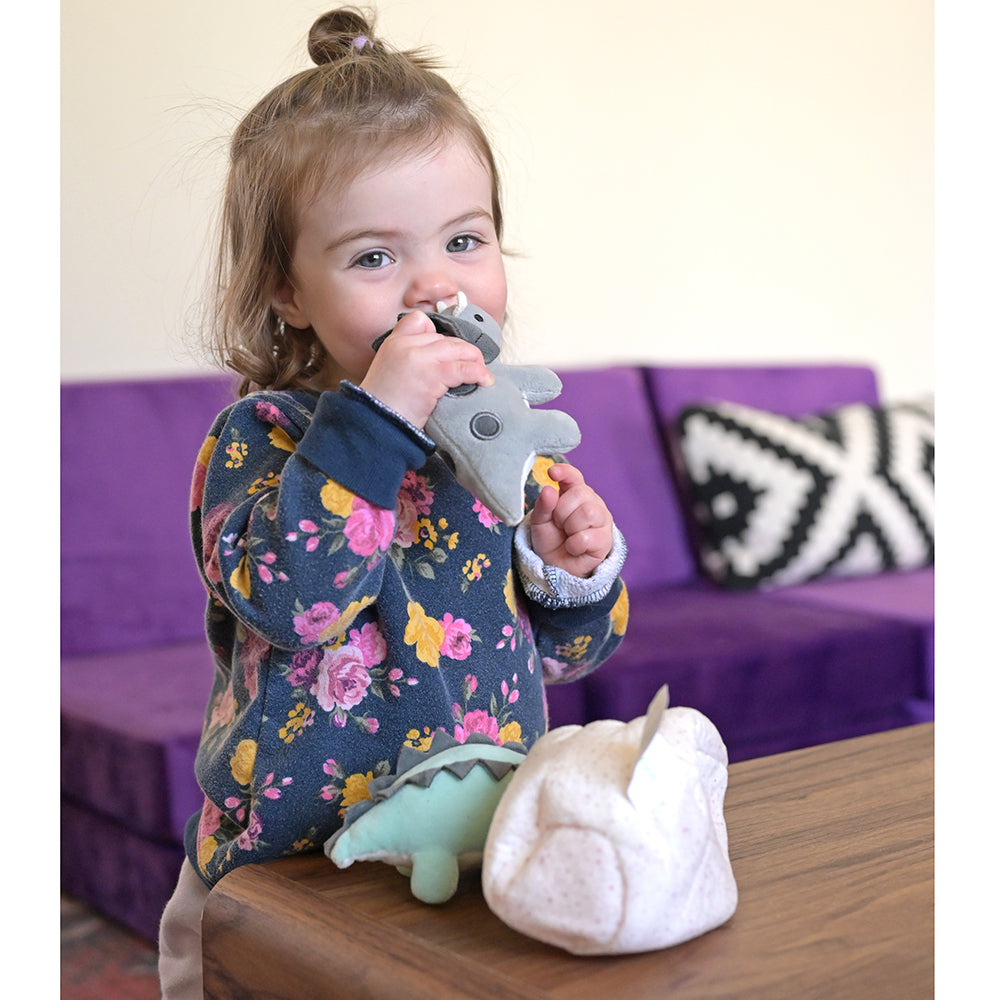 Toddler Chewing on Plush Triceratops