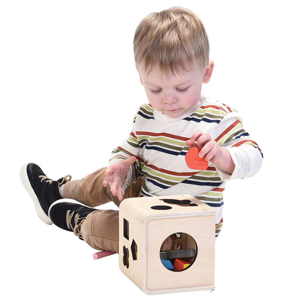 Shape and Sorting Wooden Toy