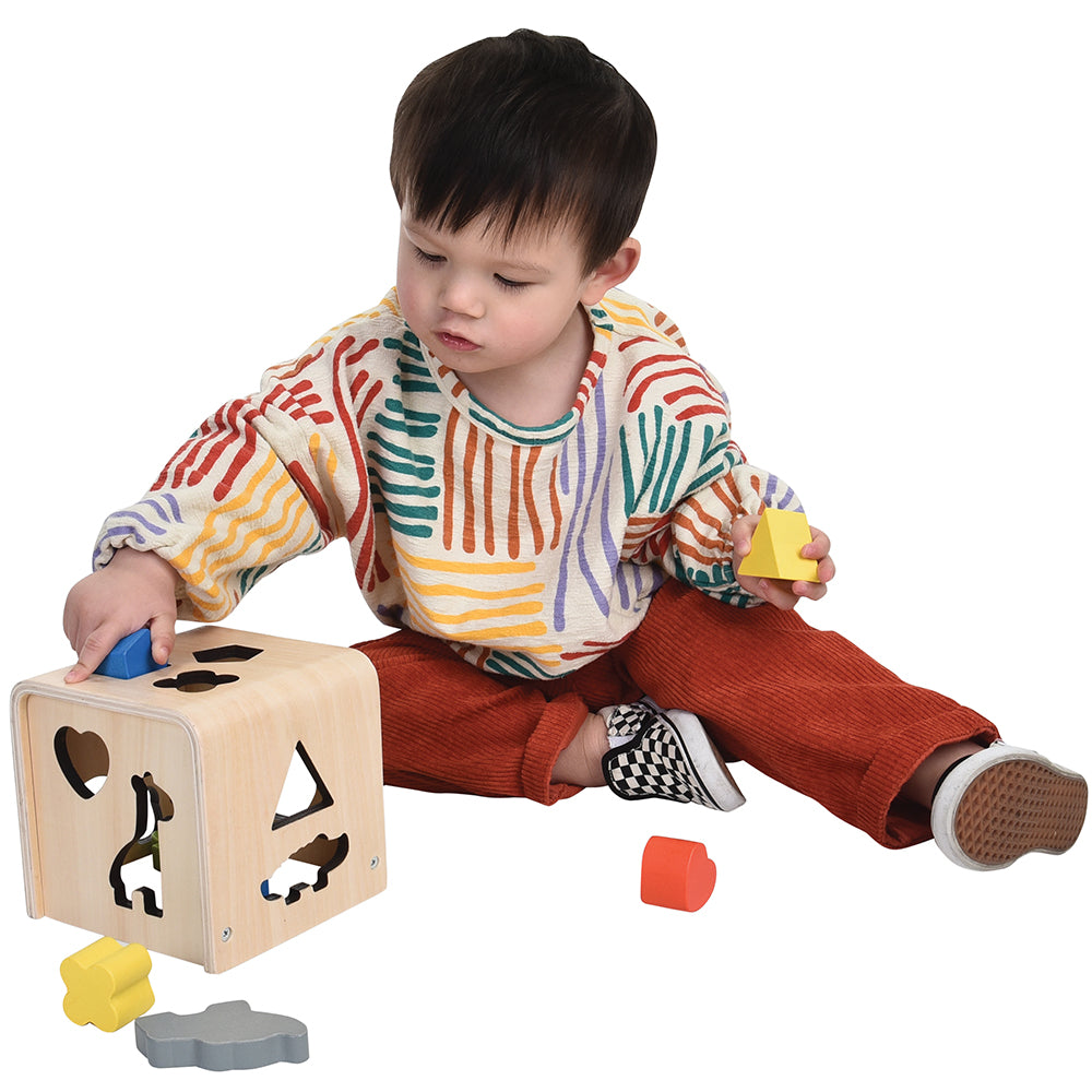 Discovering Sorting Shapes with Toddler Wooden Toy