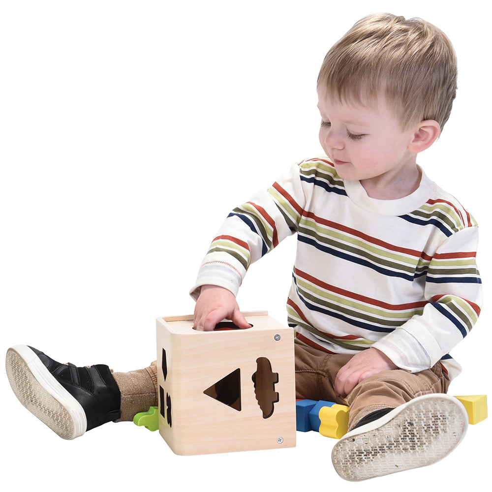 Eco-Friendly Sorting Toy for Toddlers