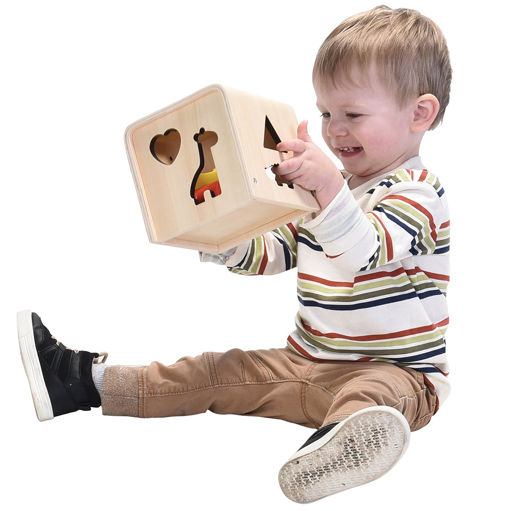 Toddler Playing with Wooden Sorting Box