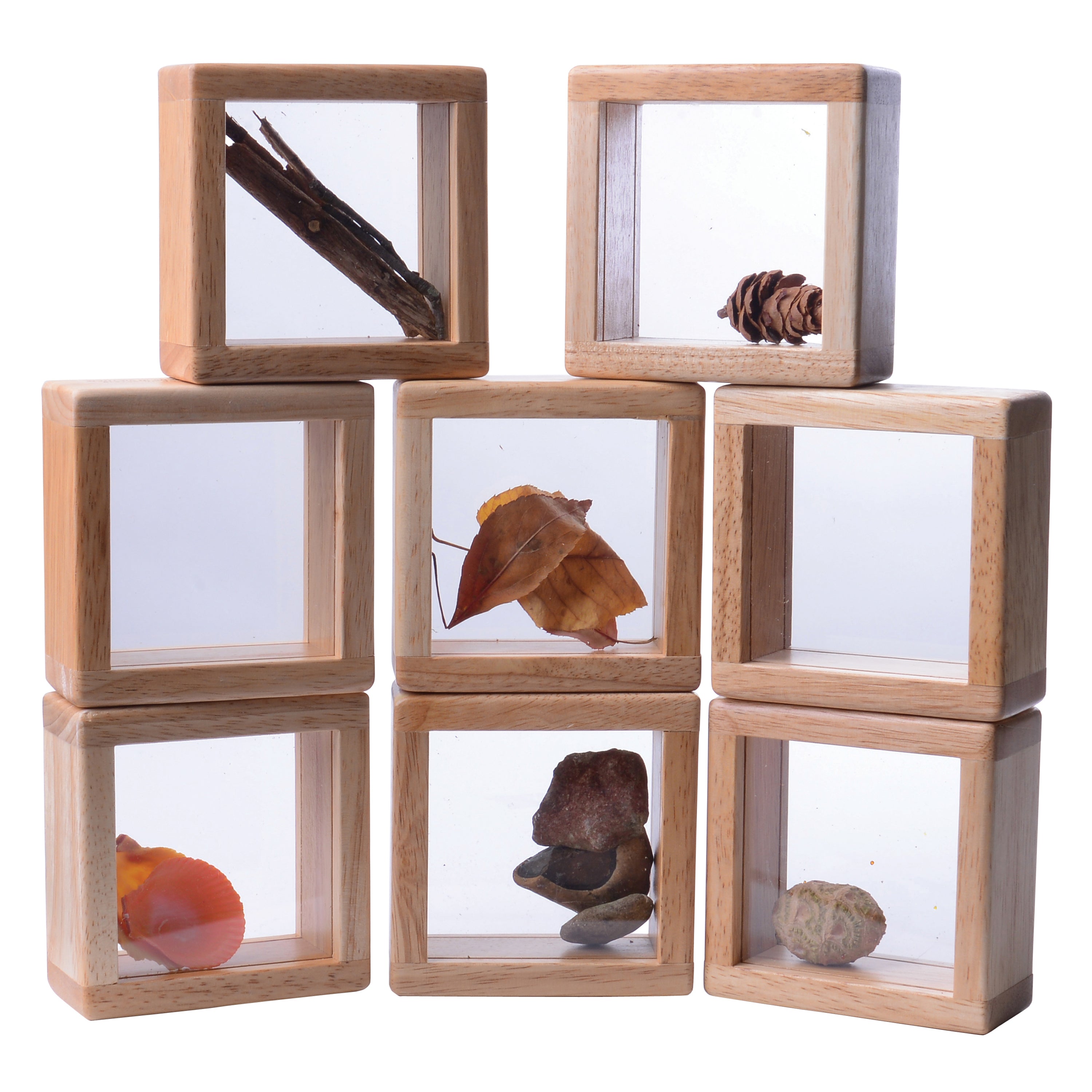 Stack of wooden cubes with transparent fronts displaying natural objects on a white background