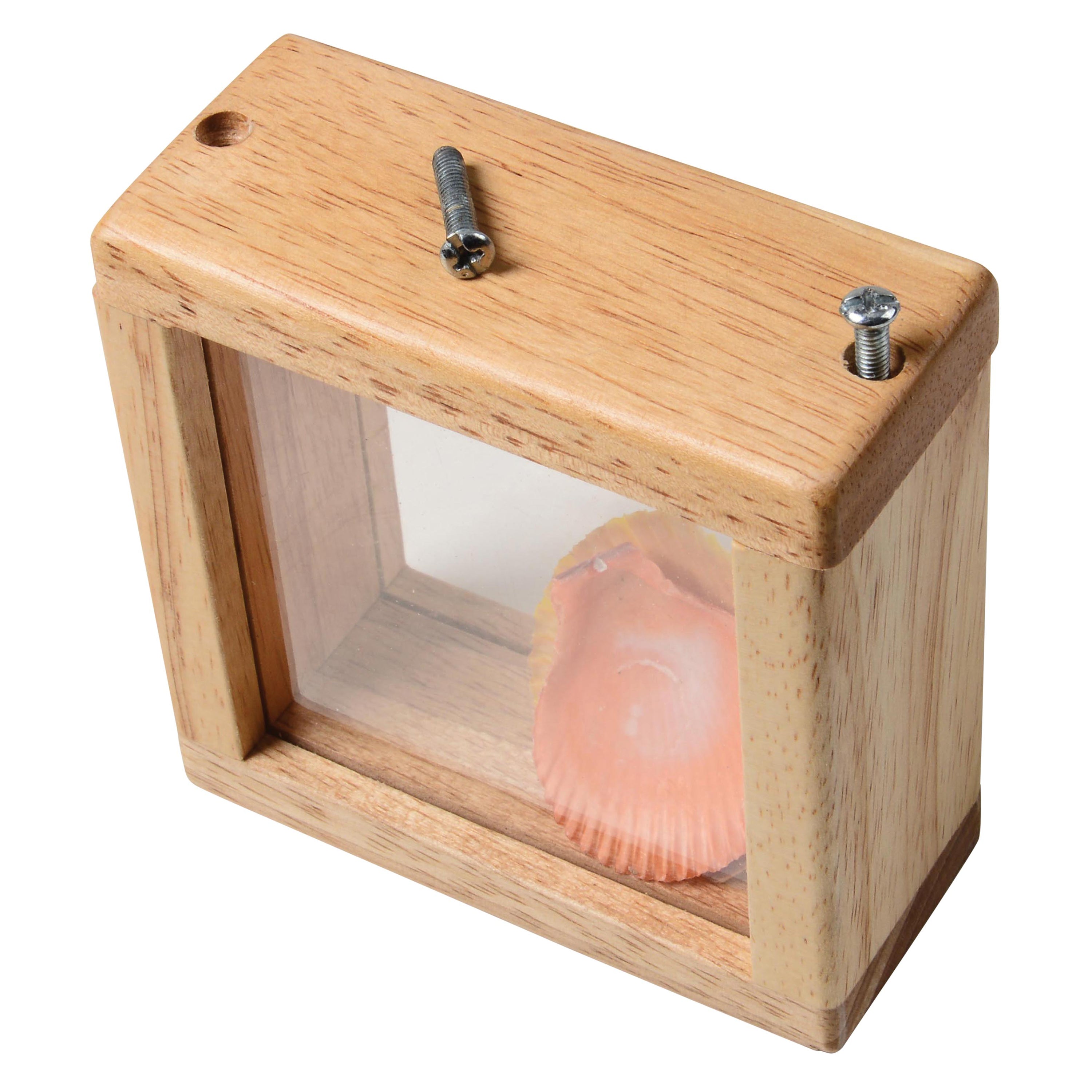 Wooden box with a clear front panel displaying a pink object on a white background