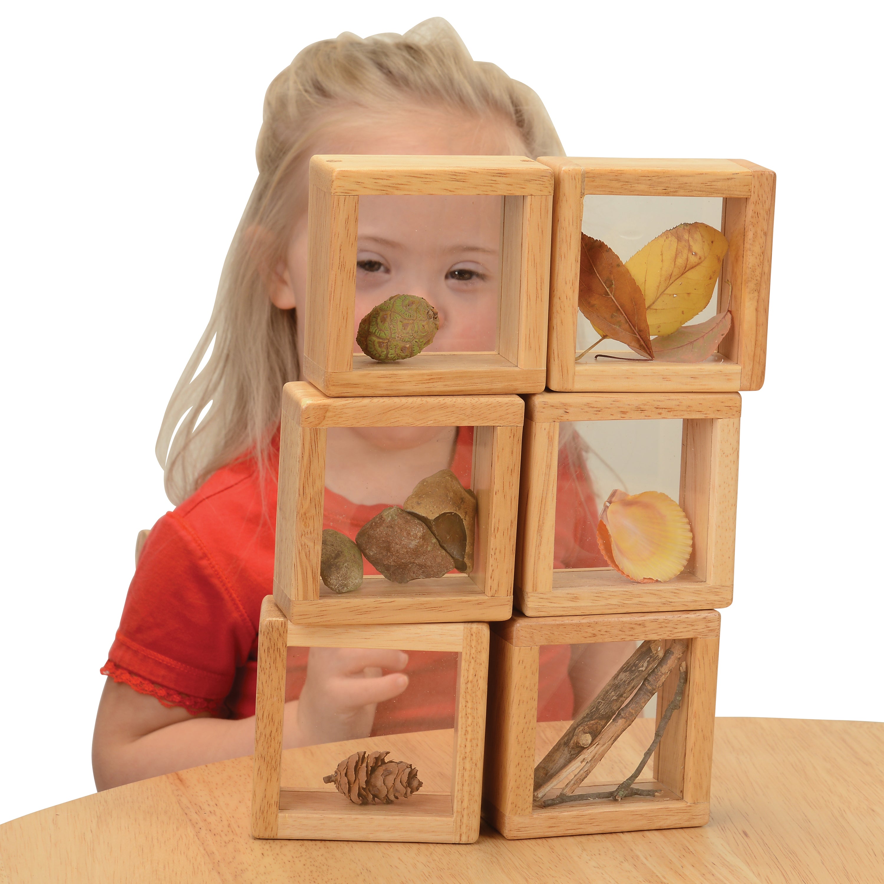 Child playing with wooden blocks featuring natural objects on a white background