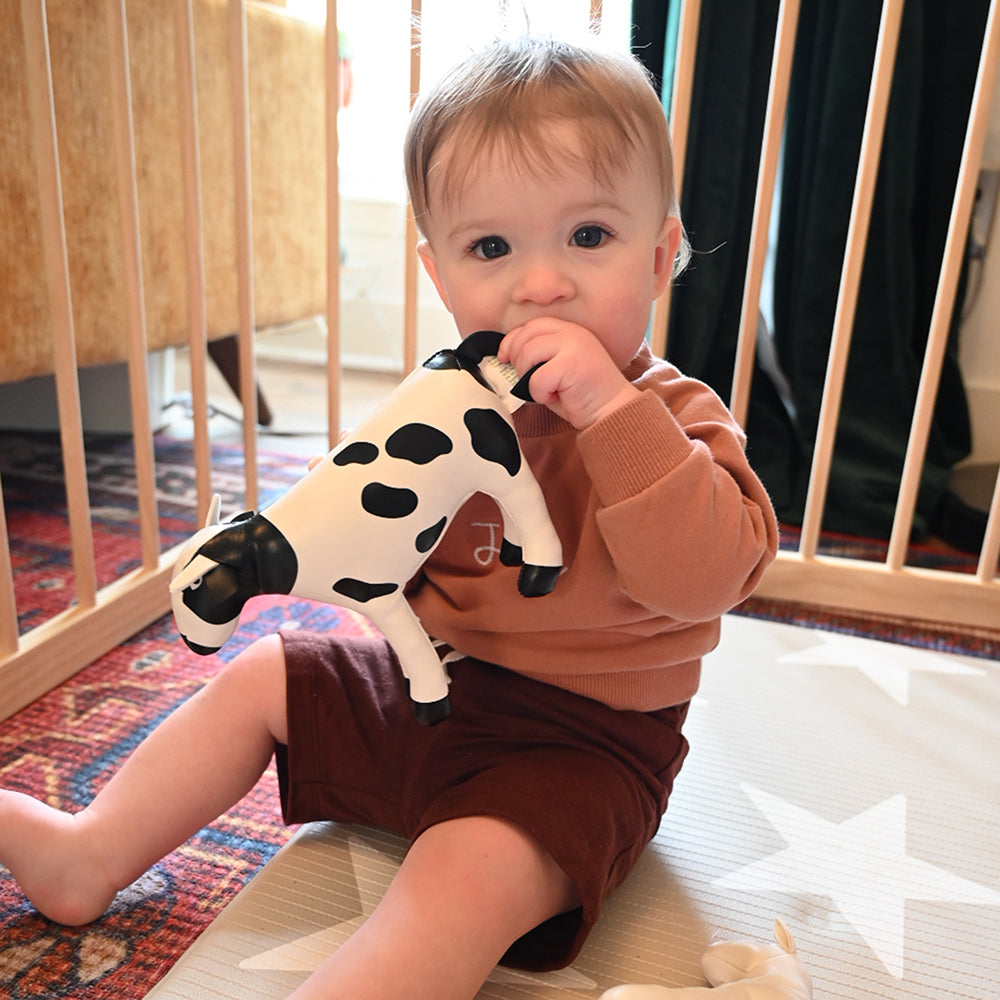 Toddler Engaging with Soft Vinyl Cow