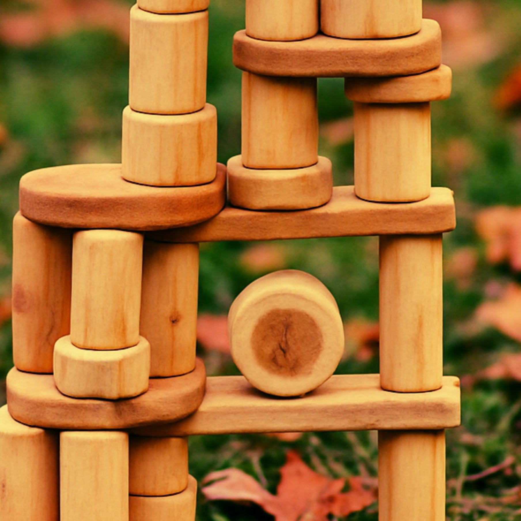 Wooden Tree Blocks | 36-Piece Set | Eco-Friendly Building Blocks