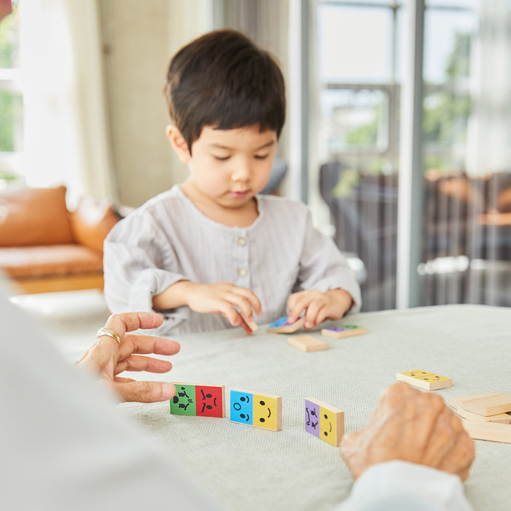 Setting up the Emotion Dominoes